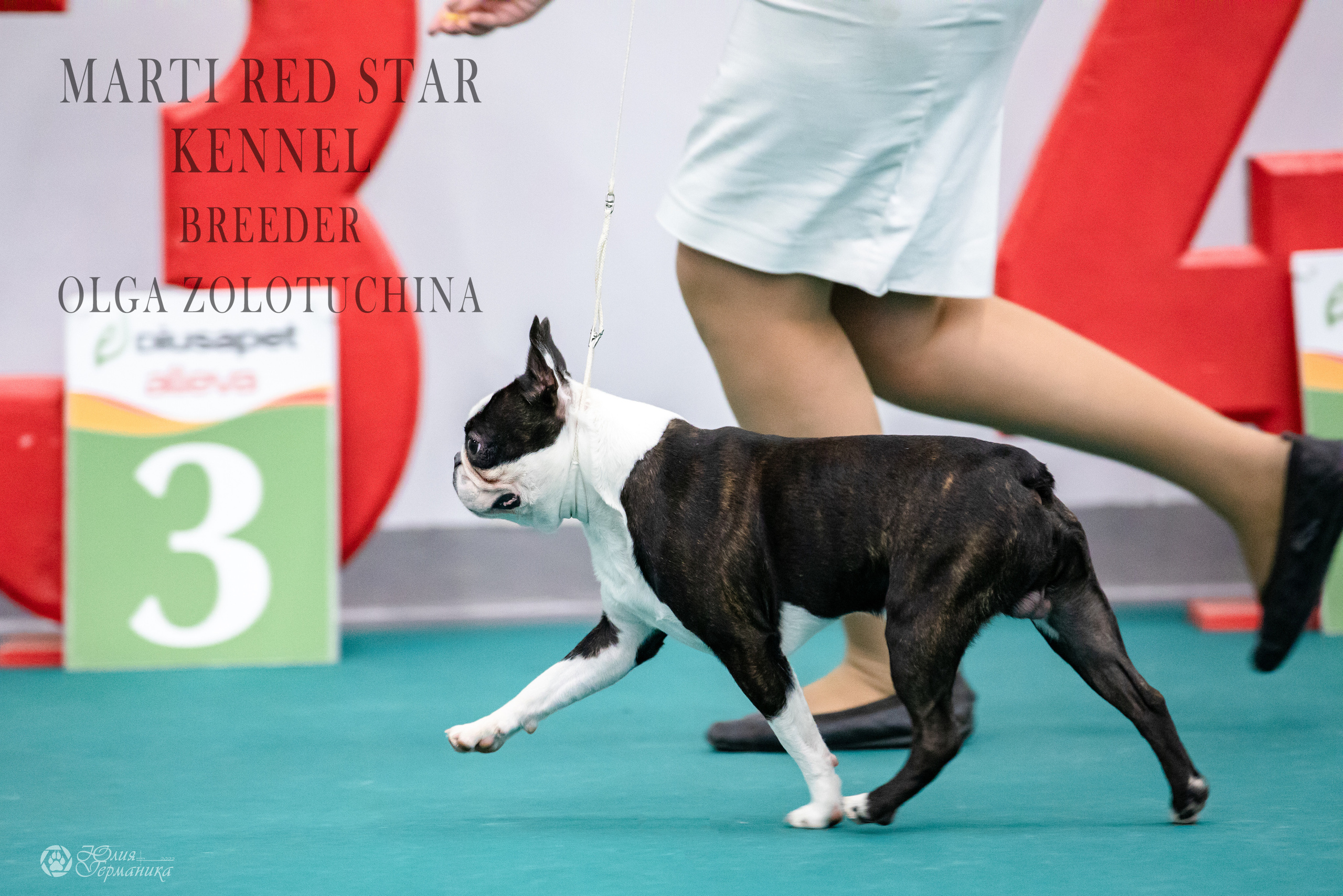 Нижний Новгород 15-16.10.2022. Фотограф-анималист Юлия Германика