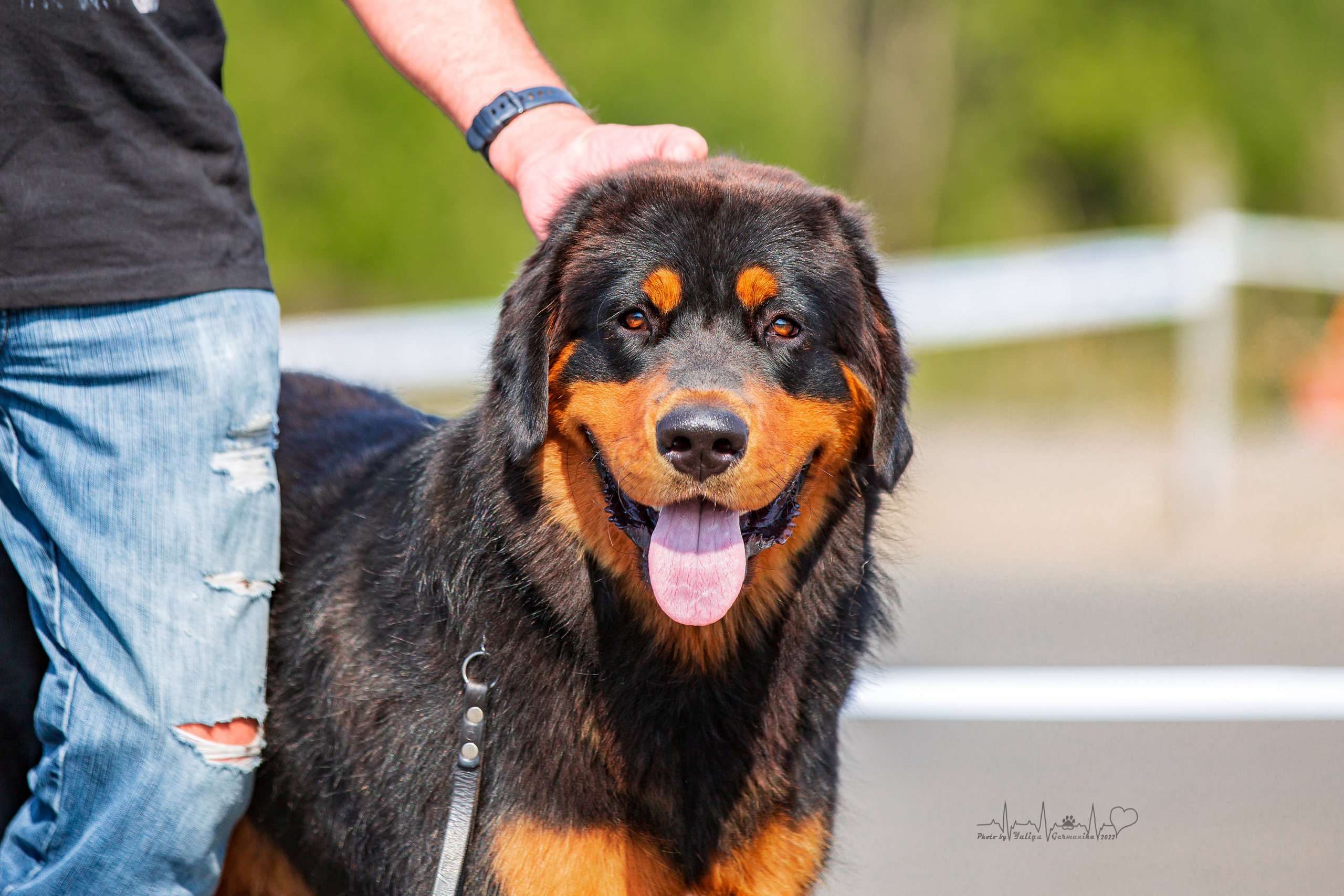 Сокольники 21.08,Сергиев Посад 27-28.08 2022. Фотограф-анималист Юлия Германика