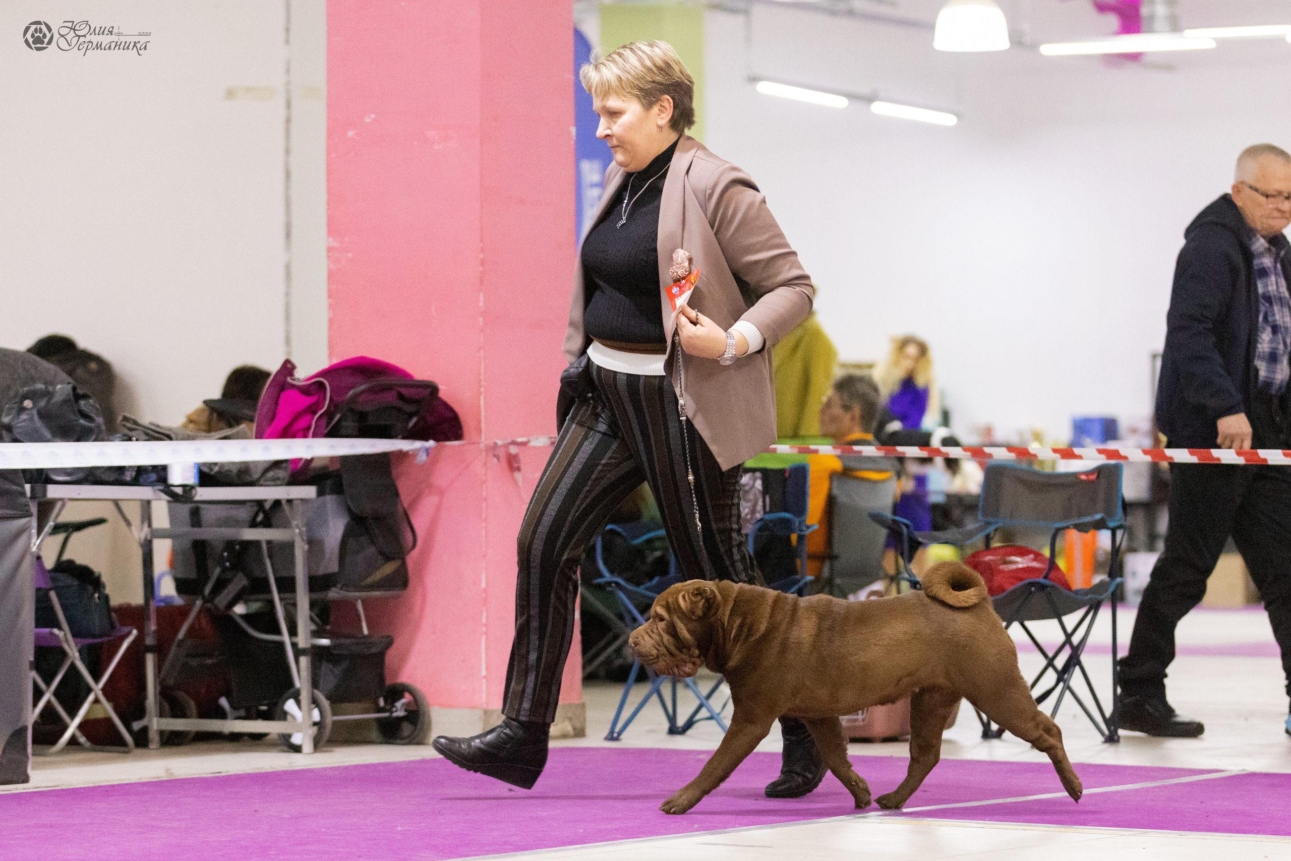 Чайна-Таун 3 и 12.11.2022. Фотограф-анималист Юлия Германика