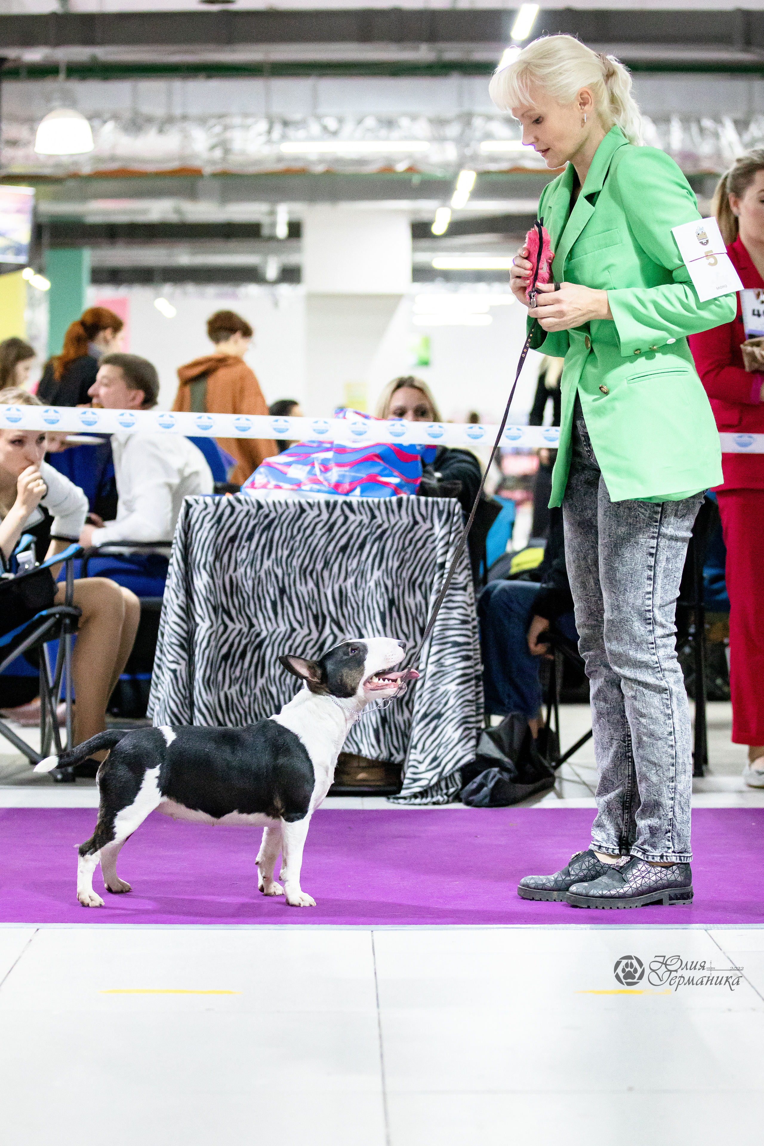 Чайна-Таун 29-30.10.2022. Фотограф-анималист Юлия Германика