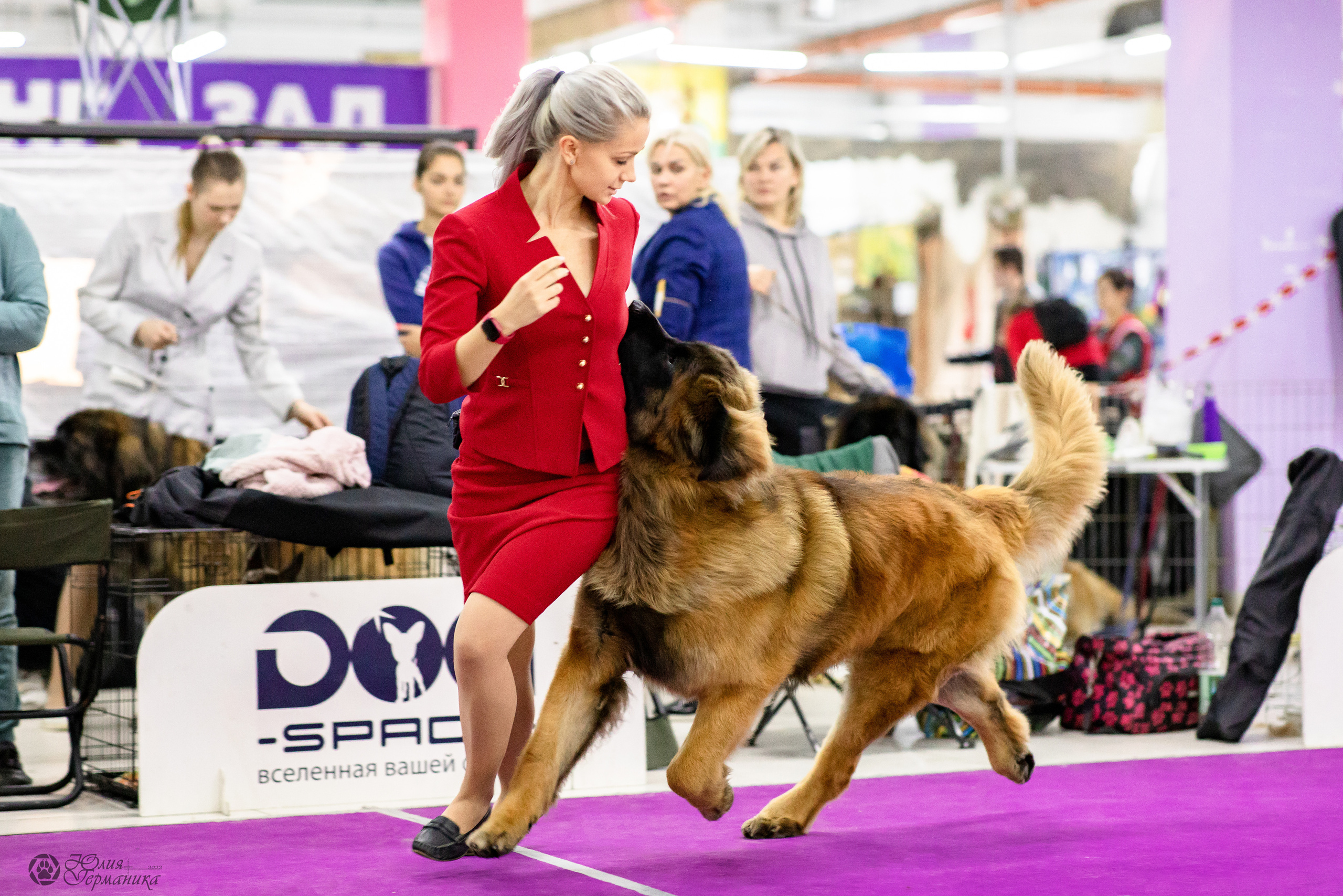 Чайна-Таун 29-30.10.2022. Фотограф-анималист Юлия Германика