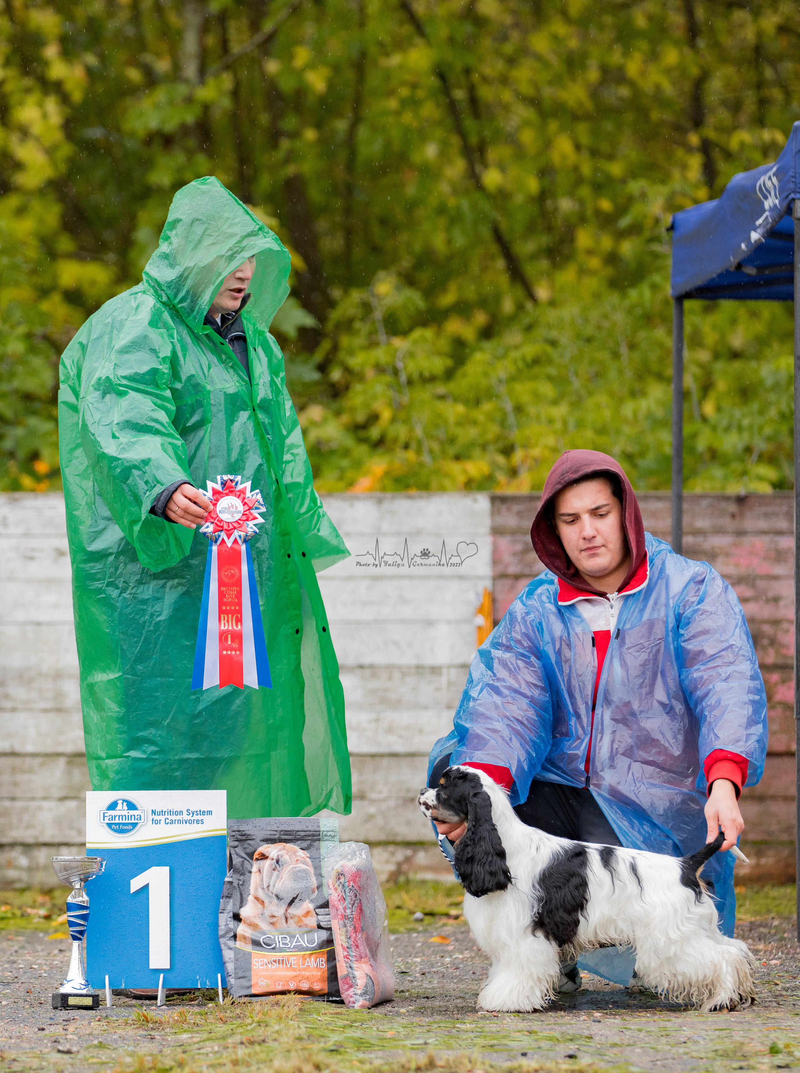 Александров 24.09.2022. Фотограф-анималист Юлия Германика