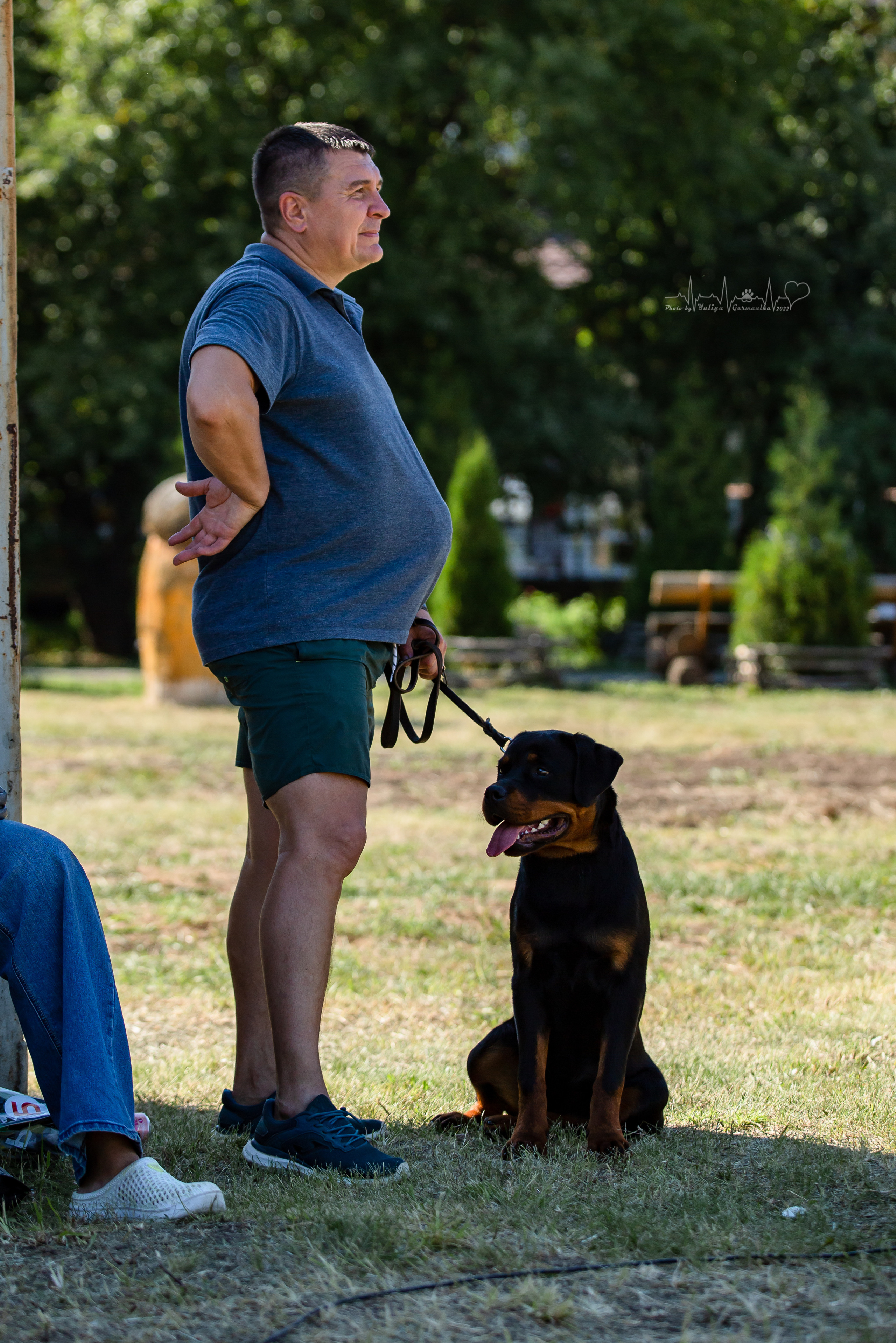 Рязань моно ротвейлеров 13.08.2022. Фотограф-анималист Юлия Германика