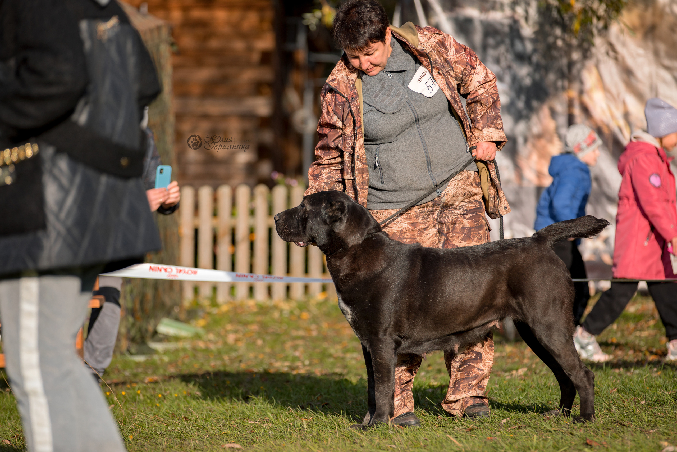 Александрова Слобода моно сао 2.10.2022. Фотограф-анималист Юлия Германика
