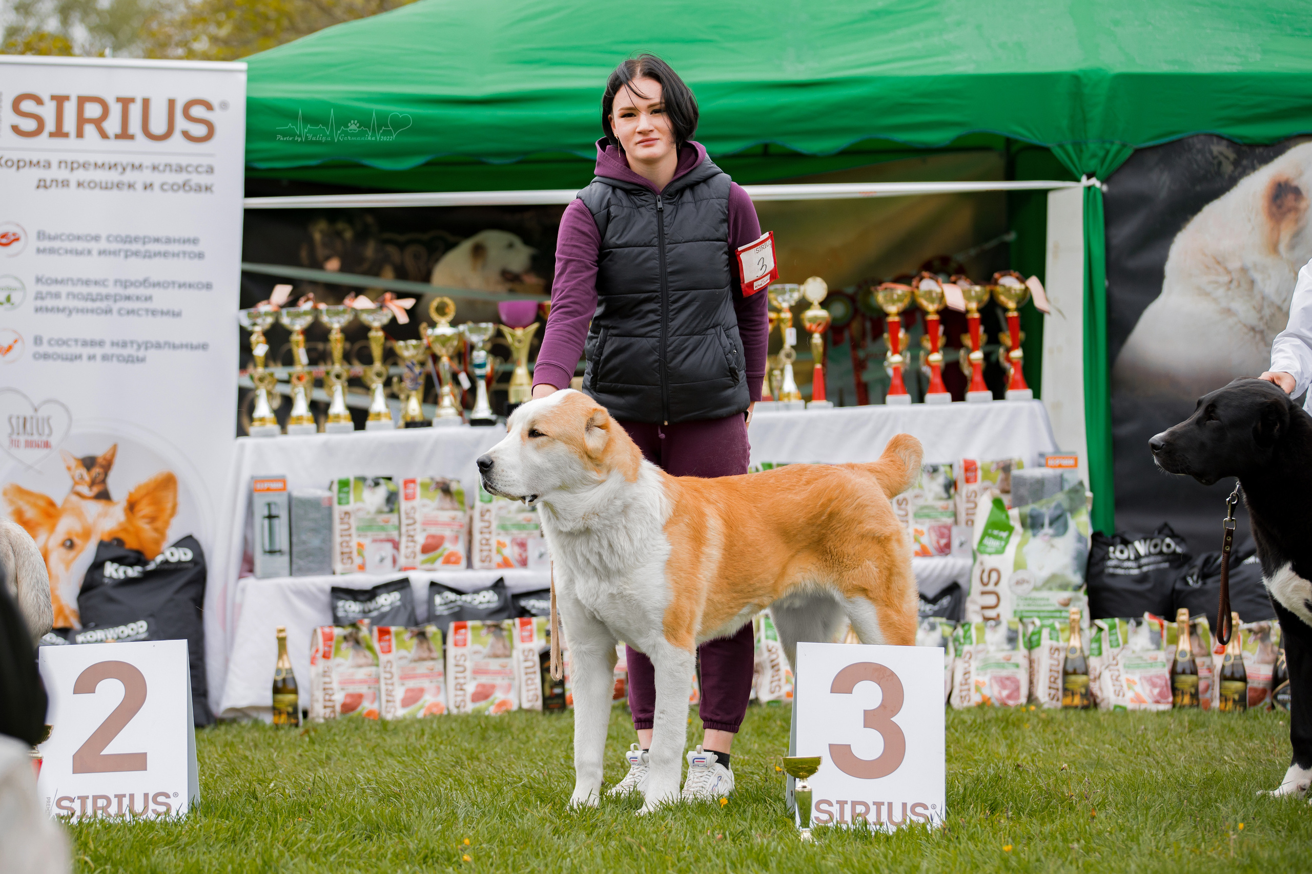 Александрова Слобода моно сао 2.10.2022. Фотограф-анималист Юлия Германика