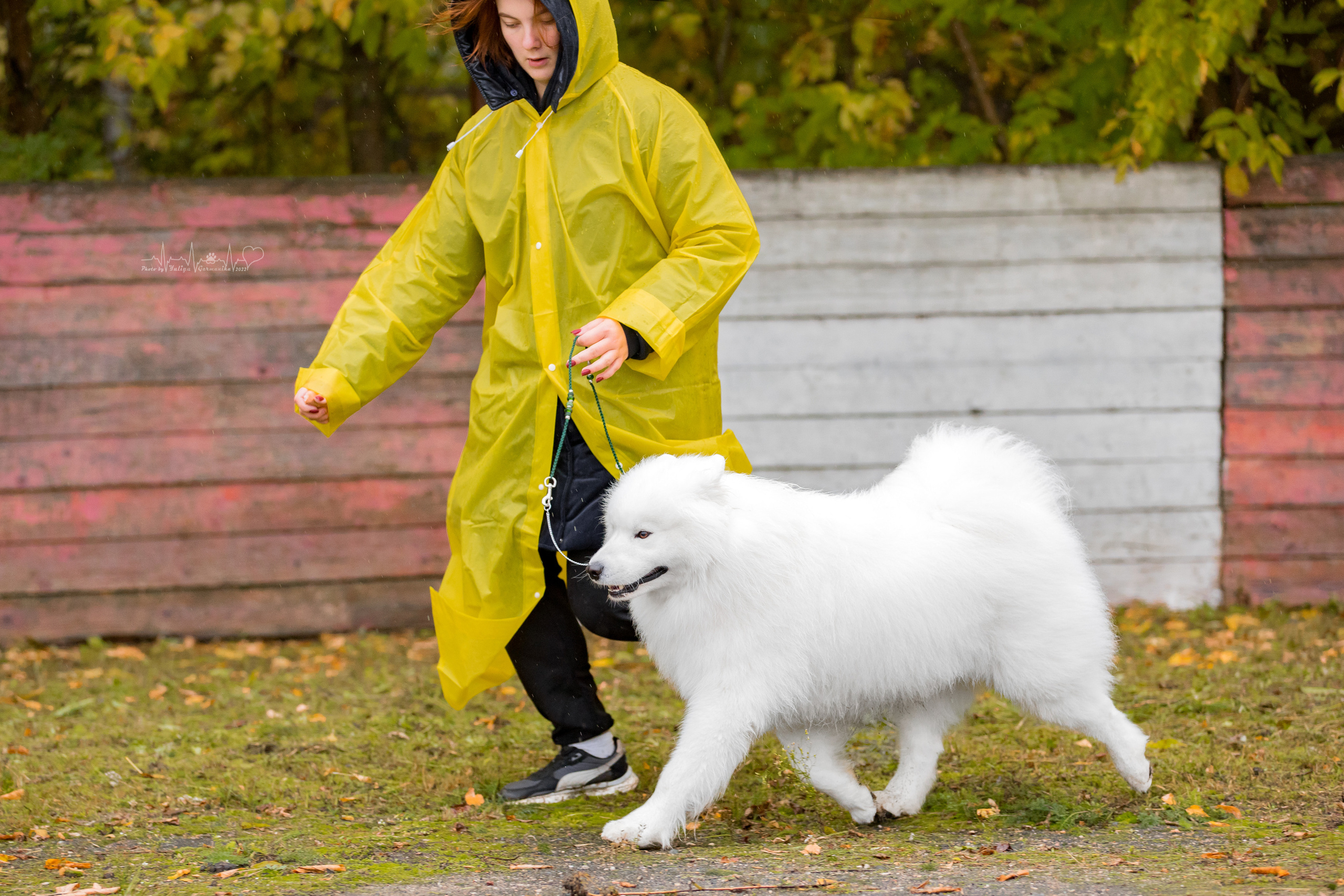 Александров 24.09.2022. Фотограф-анималист Юлия Германика