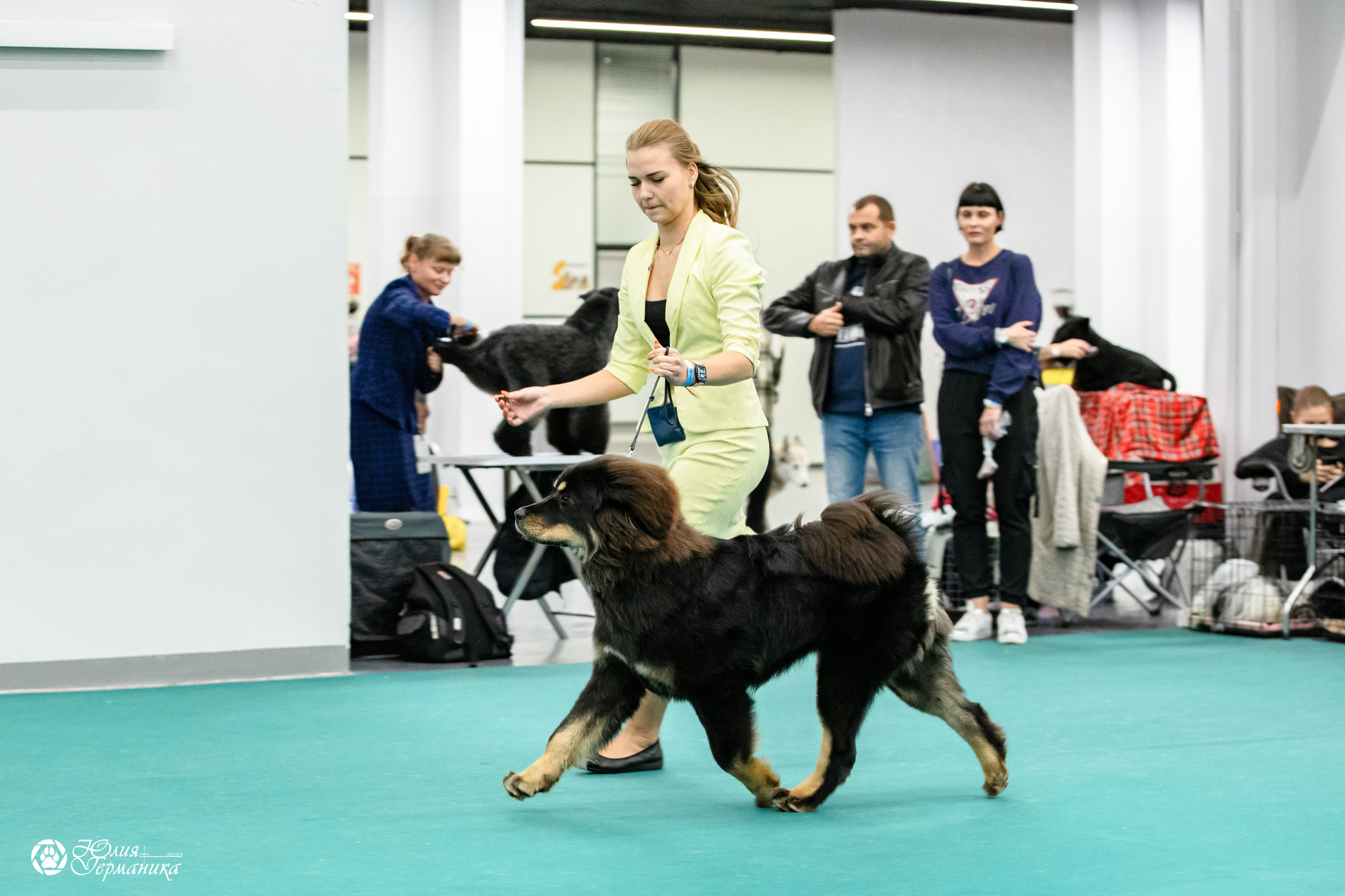 Нижний Новгород 15-16.10.2022. Фотограф-анималист Юлия Германика