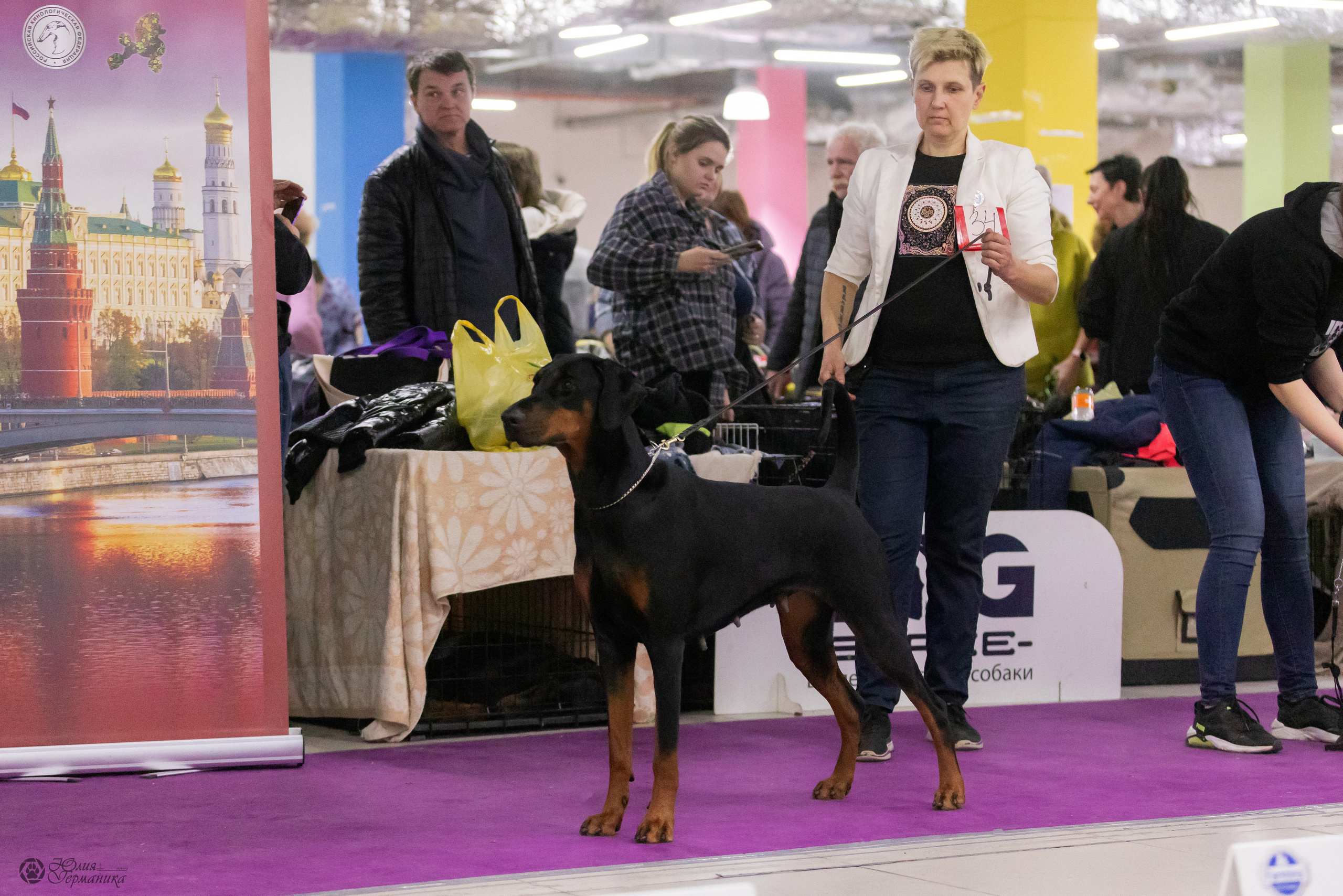 Чайна-Таун 3 и 12.11.2022. Фотограф-анималист Юлия Германика