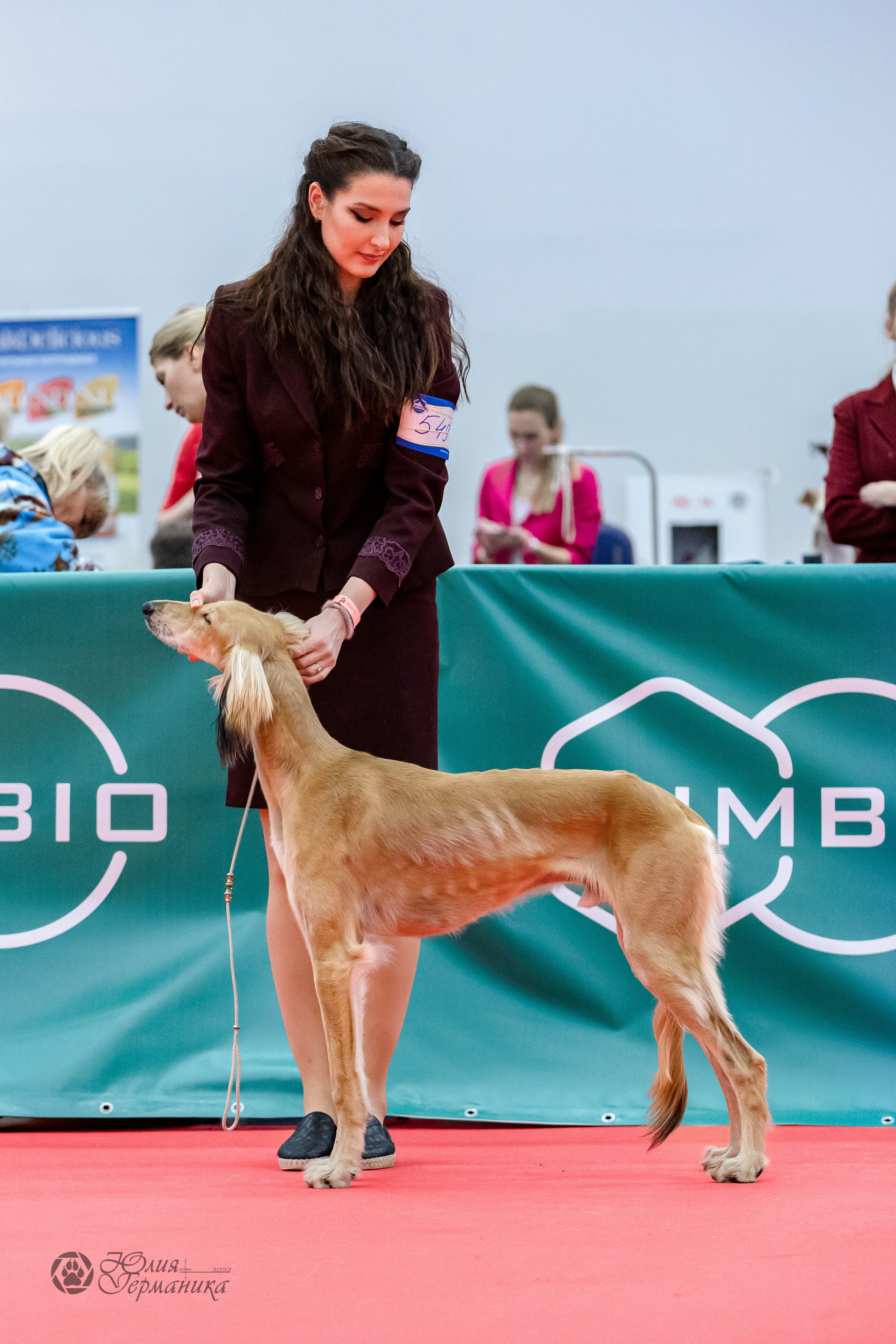 Нижний Новгород 15-16.10.2022. Фотограф-анималист Юлия Германика