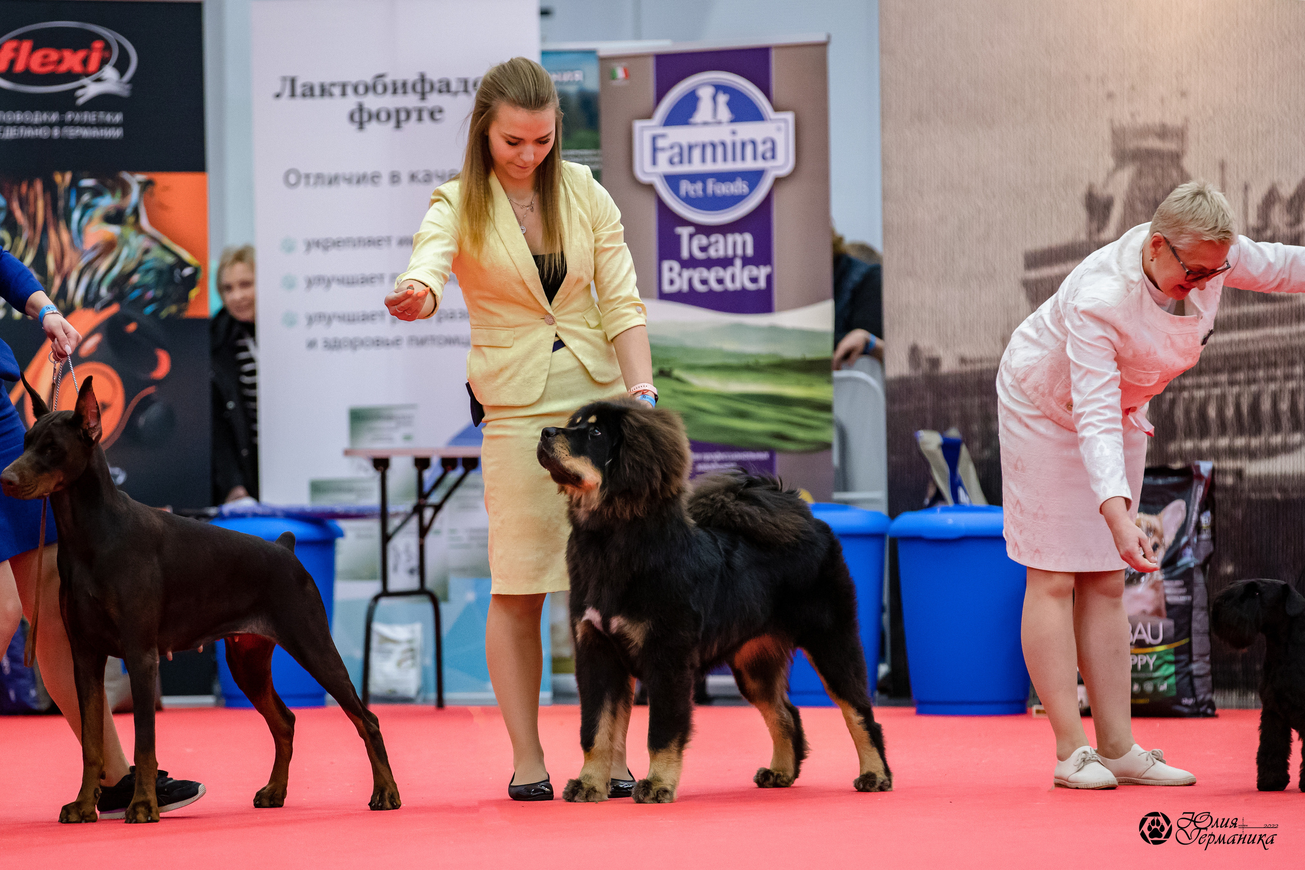 Нижний Новгород 15-16.10.2022. Фотограф-анималист Юлия Германика