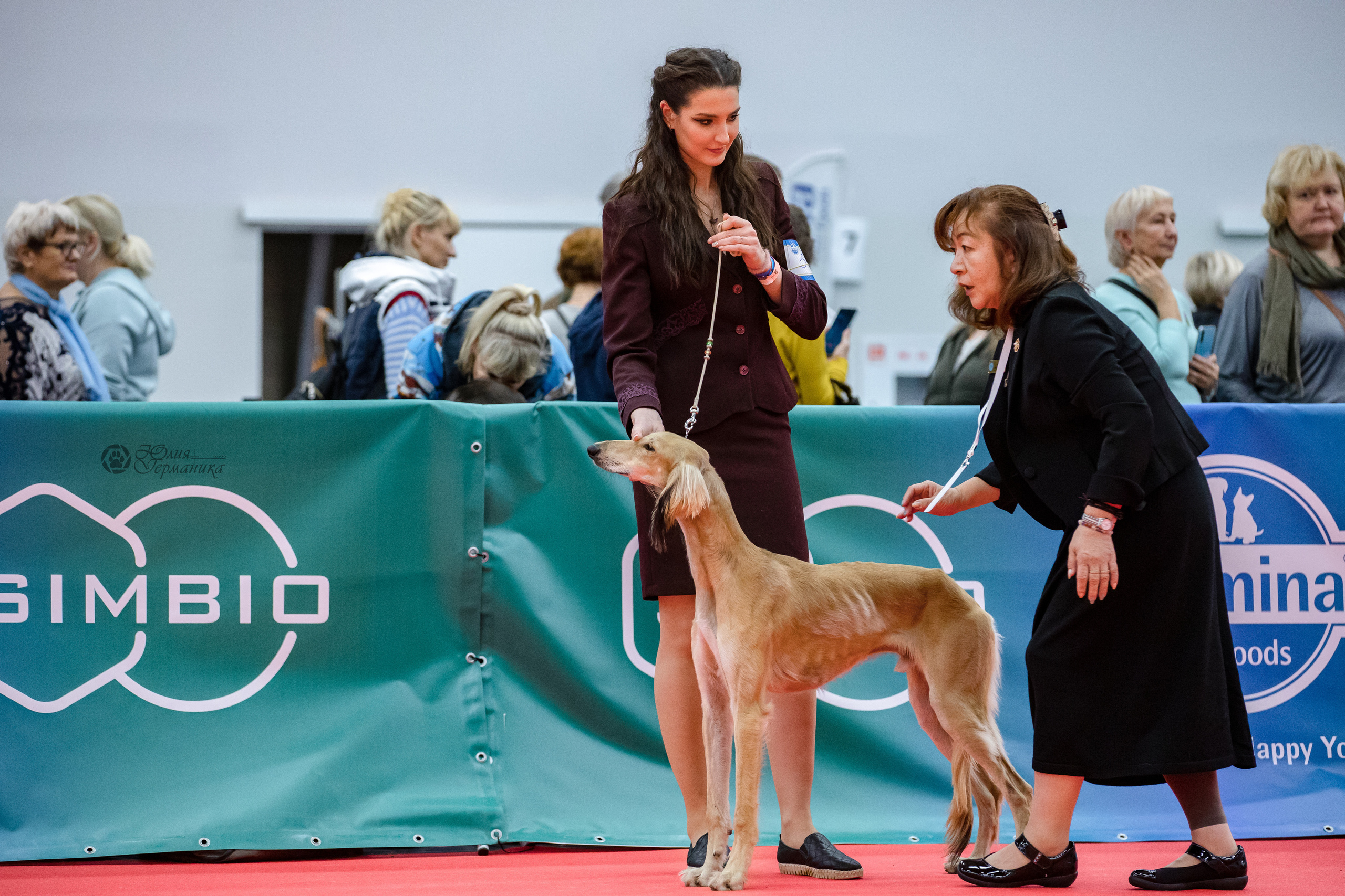 Нижний Новгород 15-16.10.2022. Фотограф-анималист Юлия Германика