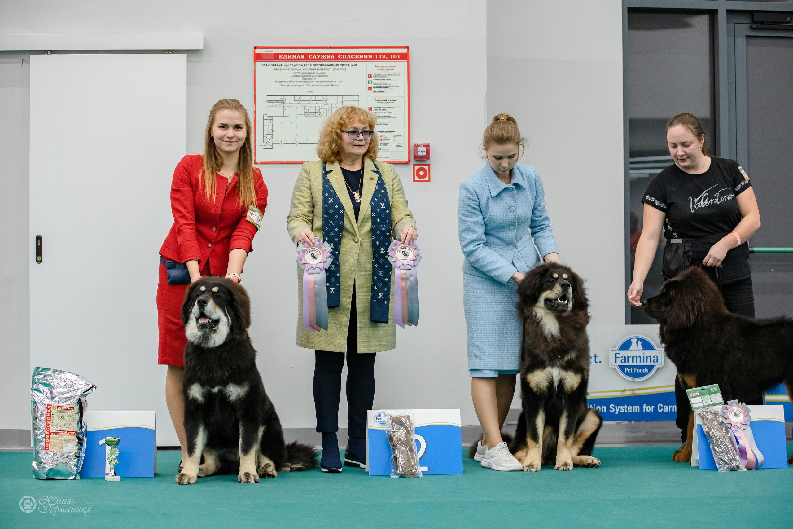 Нижний Новгород 15-16.10.2022. Фотограф-анималист Юлия Германика