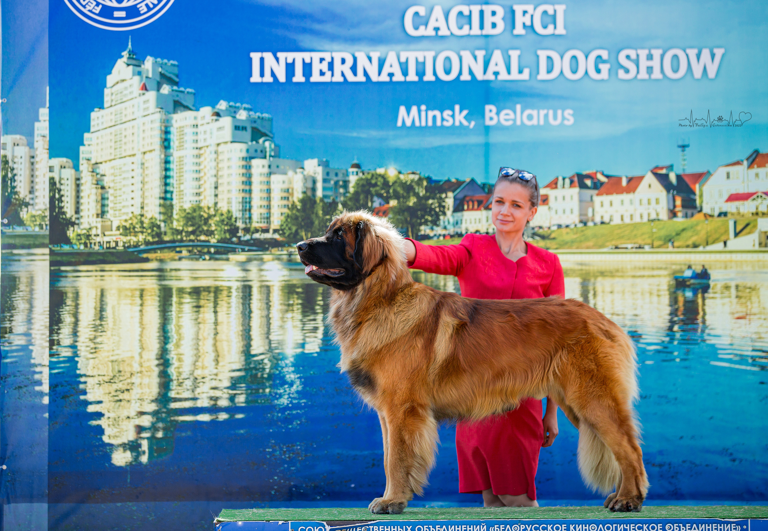 Минск 2хCACIB 3-4.09.2022. Фотограф-анималист Юлия Германика