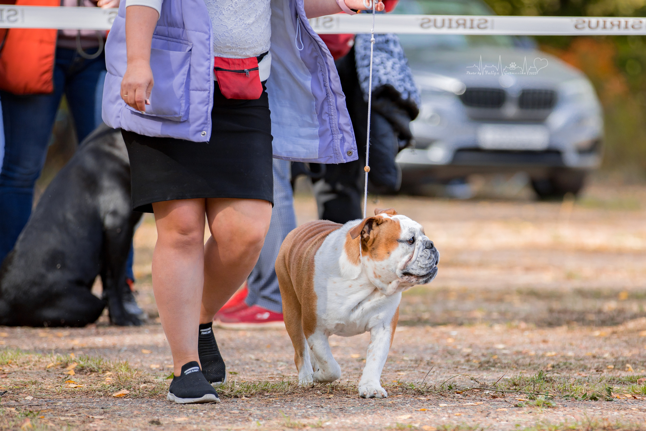 Тверь ЧРКФ 18.09.2022. Фотограф-анималист Юлия Германика