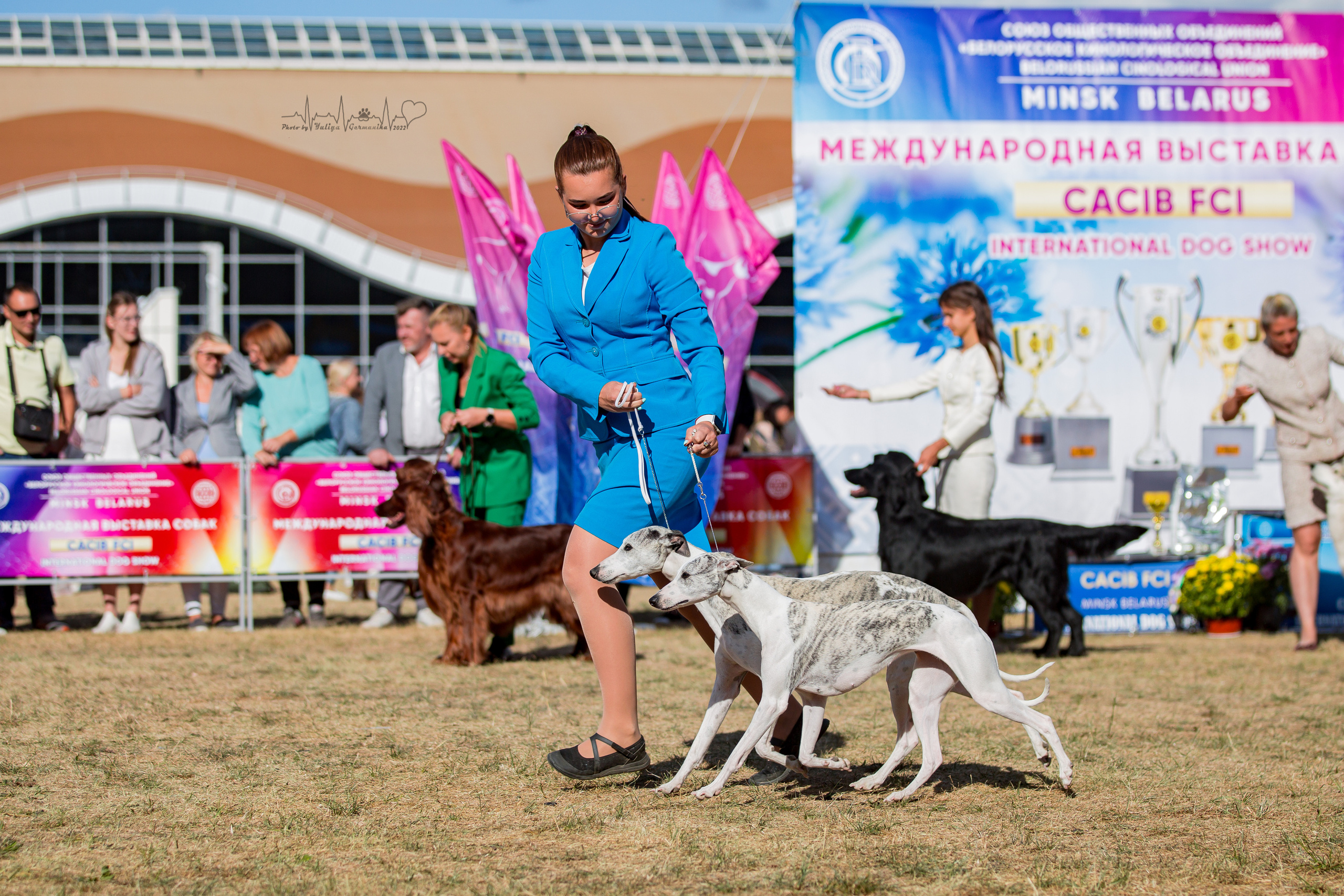 Минск 2хCACIB 3-4.09.2022. Фотограф-анималист Юлия Германика