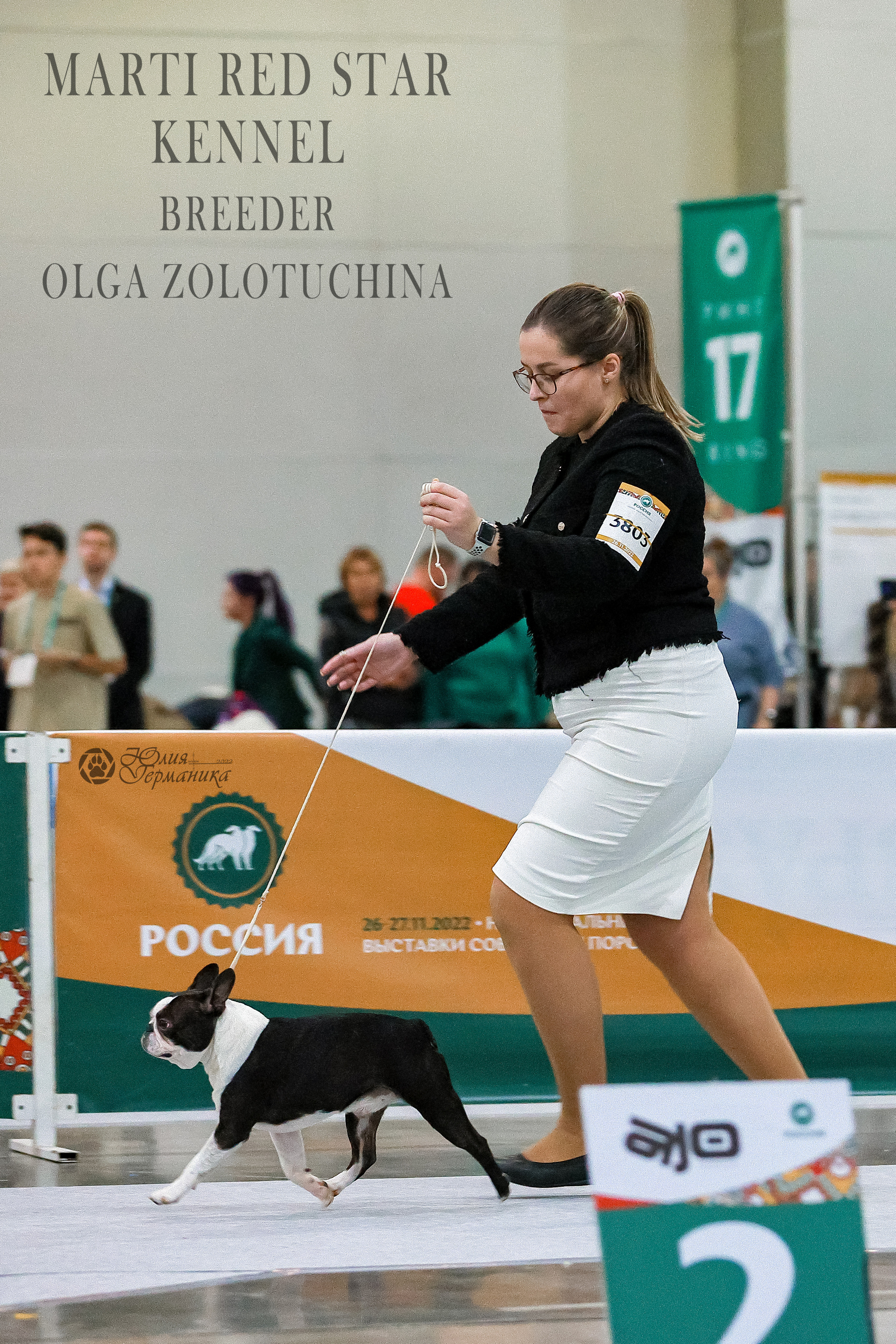 Россия 2020-2022 26-27.11.2022. Фотограф-анималист Юлия Германика