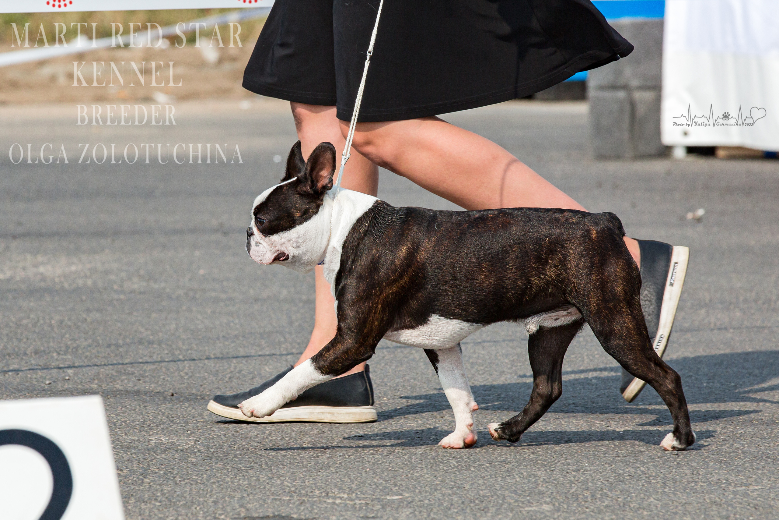 Сокольники 21.08,Сергиев Посад 27-28.08 2022. Фотограф-анималист Юлия Германика