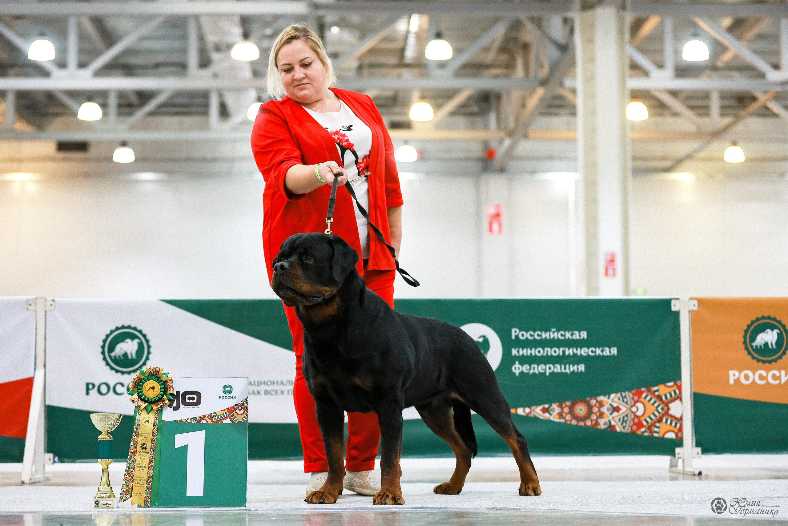 Россия 2020-2022 26-27.11.2022. Фотограф-анималист Юлия Германика
