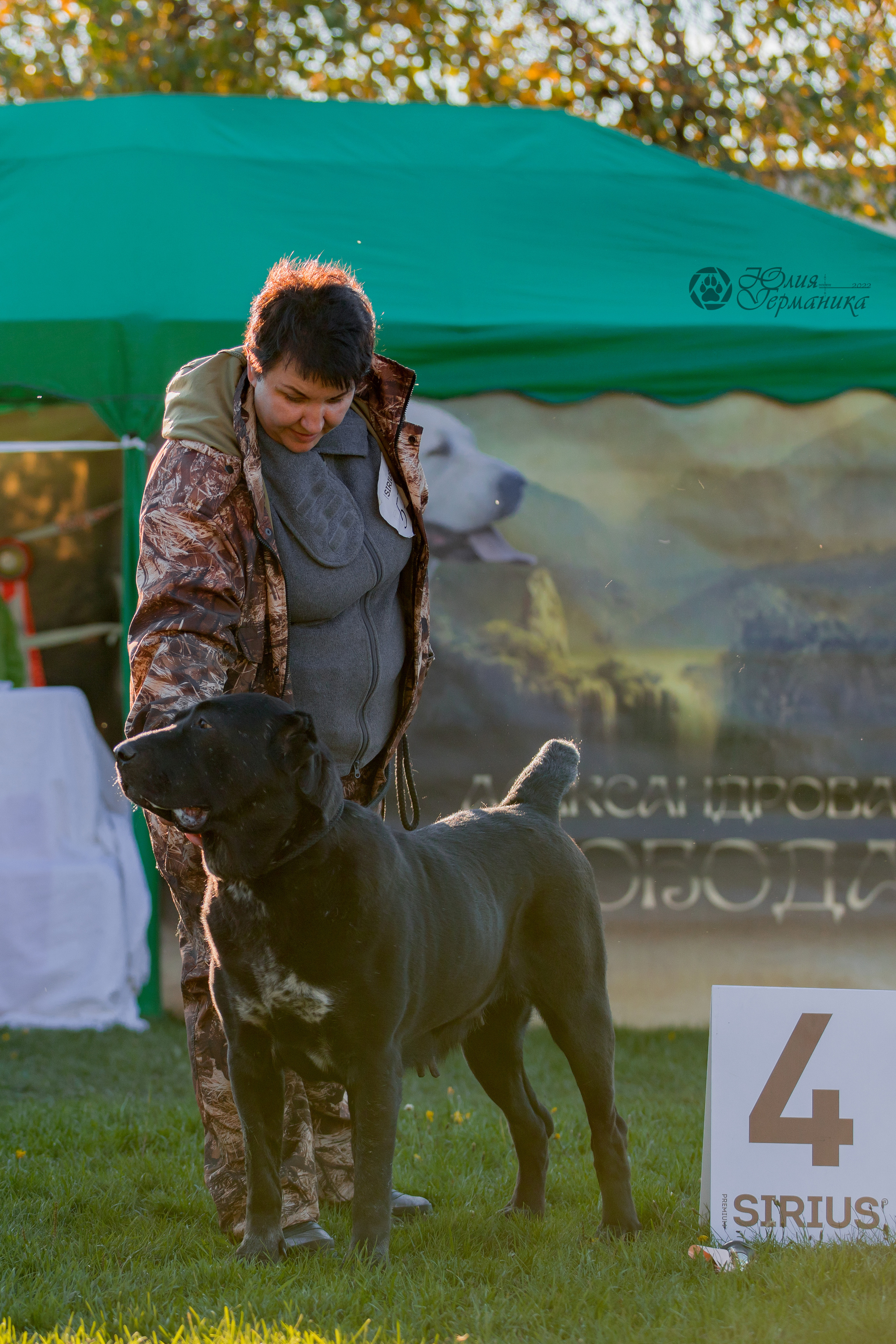 Александрова Слобода моно сао 2.10.2022. Фотограф-анималист Юлия Германика