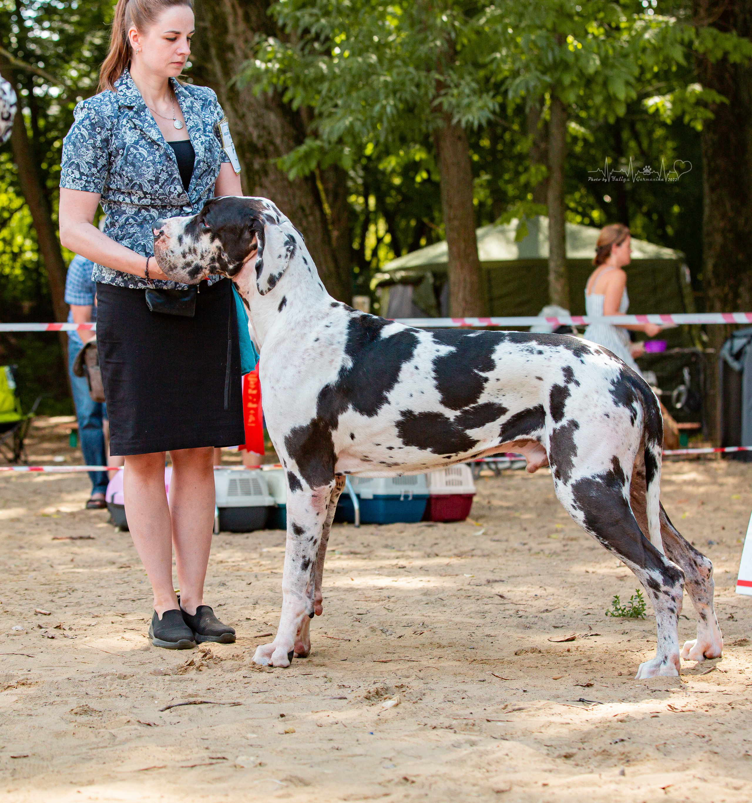 Ховрино фестиваль монопородок 14.08.2022. Фотограф-анималист Юлия Германика