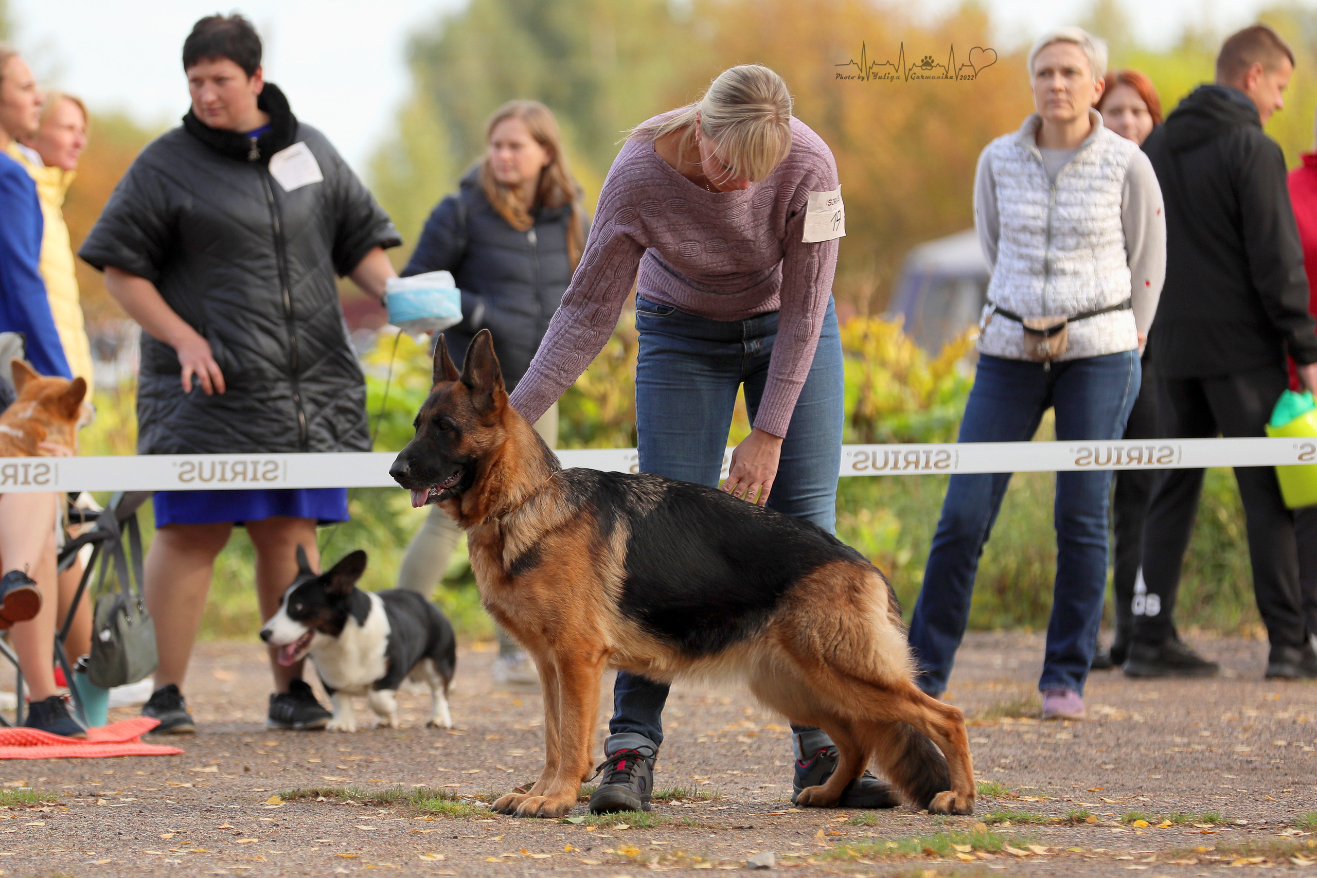 Тверь ЧРКФ 18.09.2022. Фотограф-анималист Юлия Германика