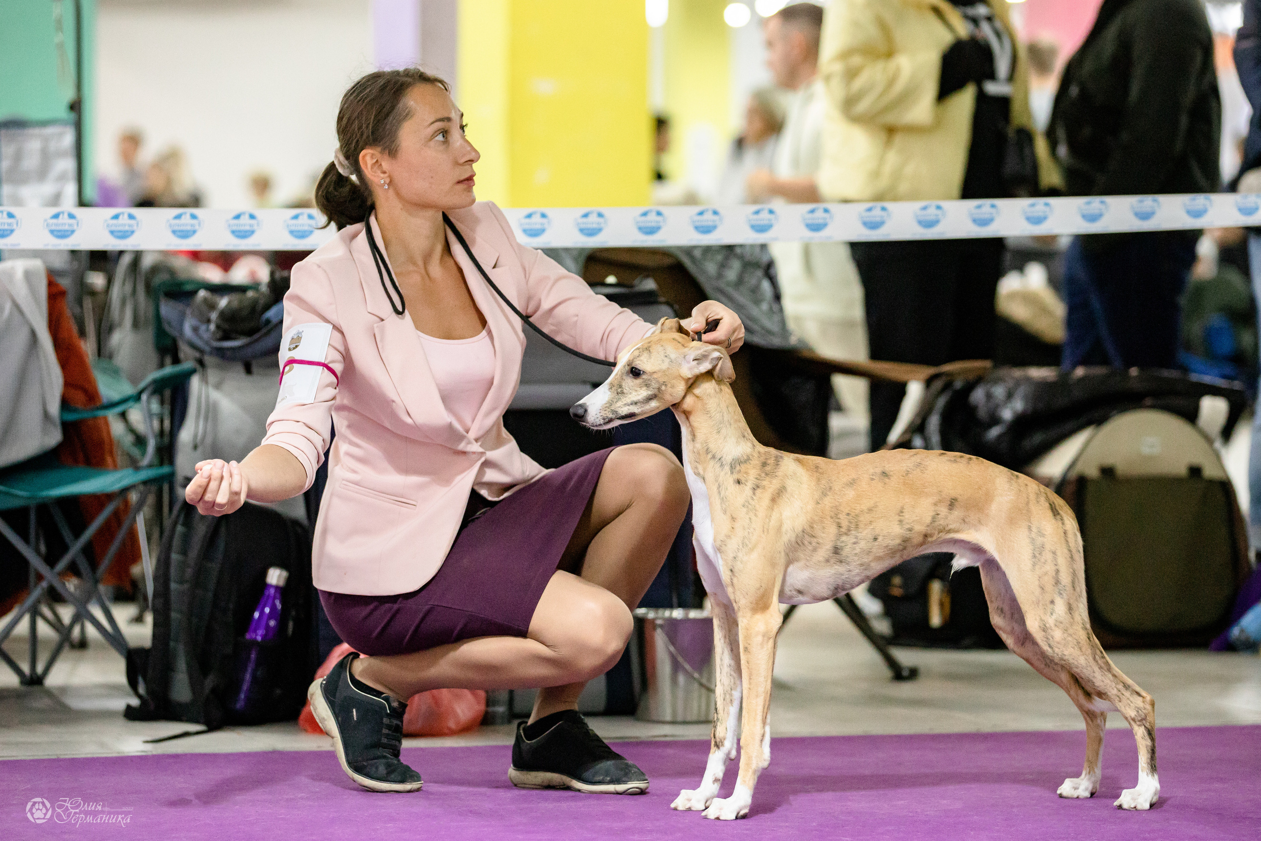 Чайна-Таун 29-30.10.2022. Фотограф-анималист Юлия Германика