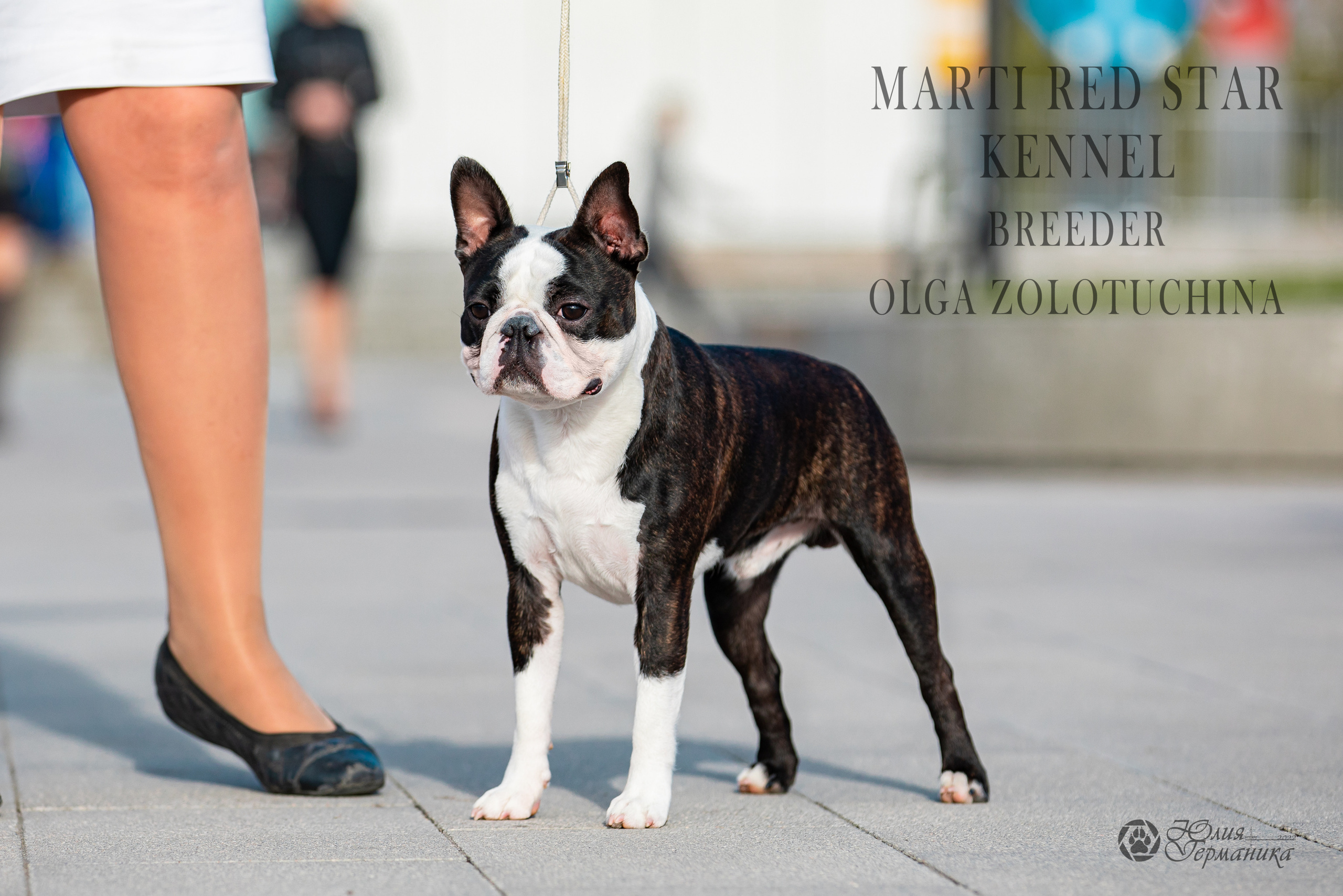 Нижний Новгород 15-16.10.2022. Фотограф-анималист Юлия Германика