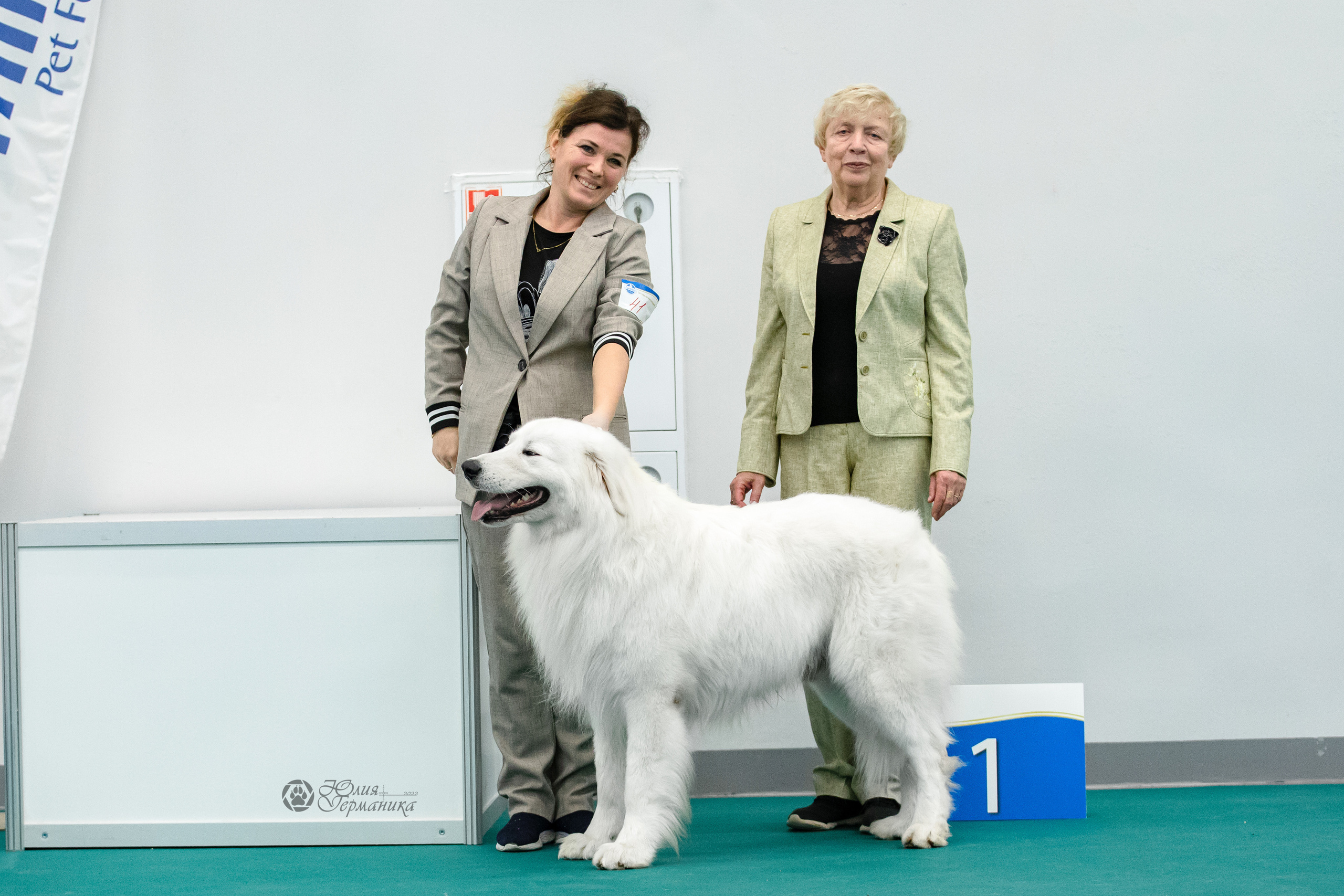 Нижний Новгород 15-16.10.2022. Фотограф-анималист Юлия Германика