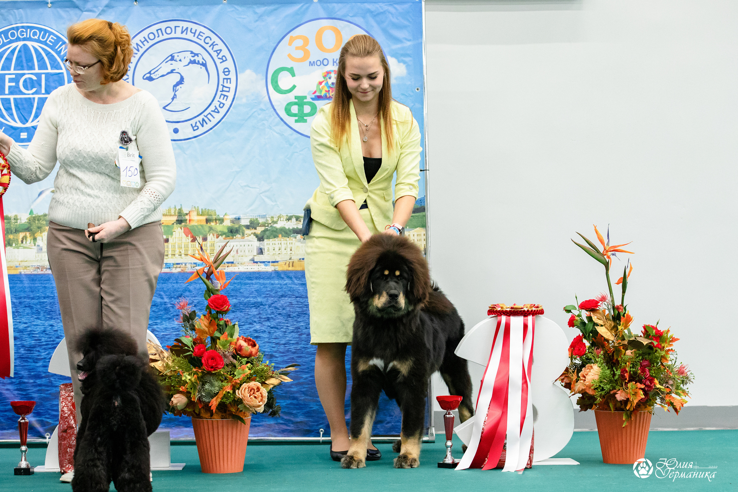 Нижний Новгород 15-16.10.2022. Фотограф-анималист Юлия Германика