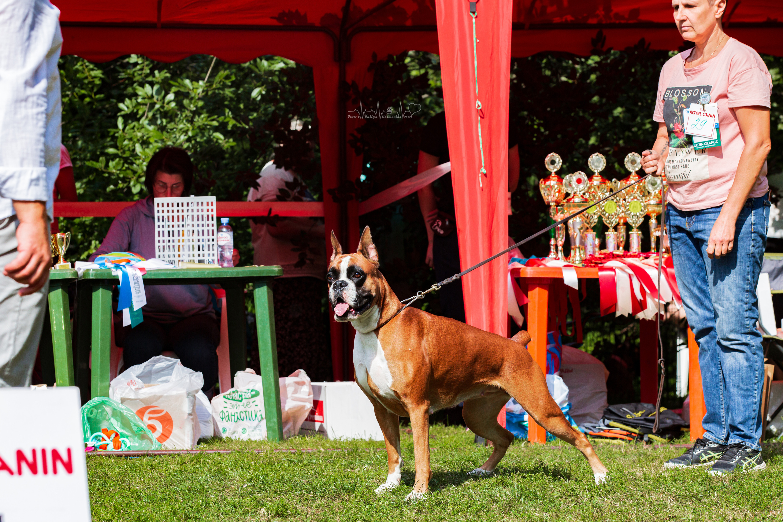 Сокольники 21.08,Сергиев Посад 27-28.08 2022. Фотограф-анималист Юлия Германика
