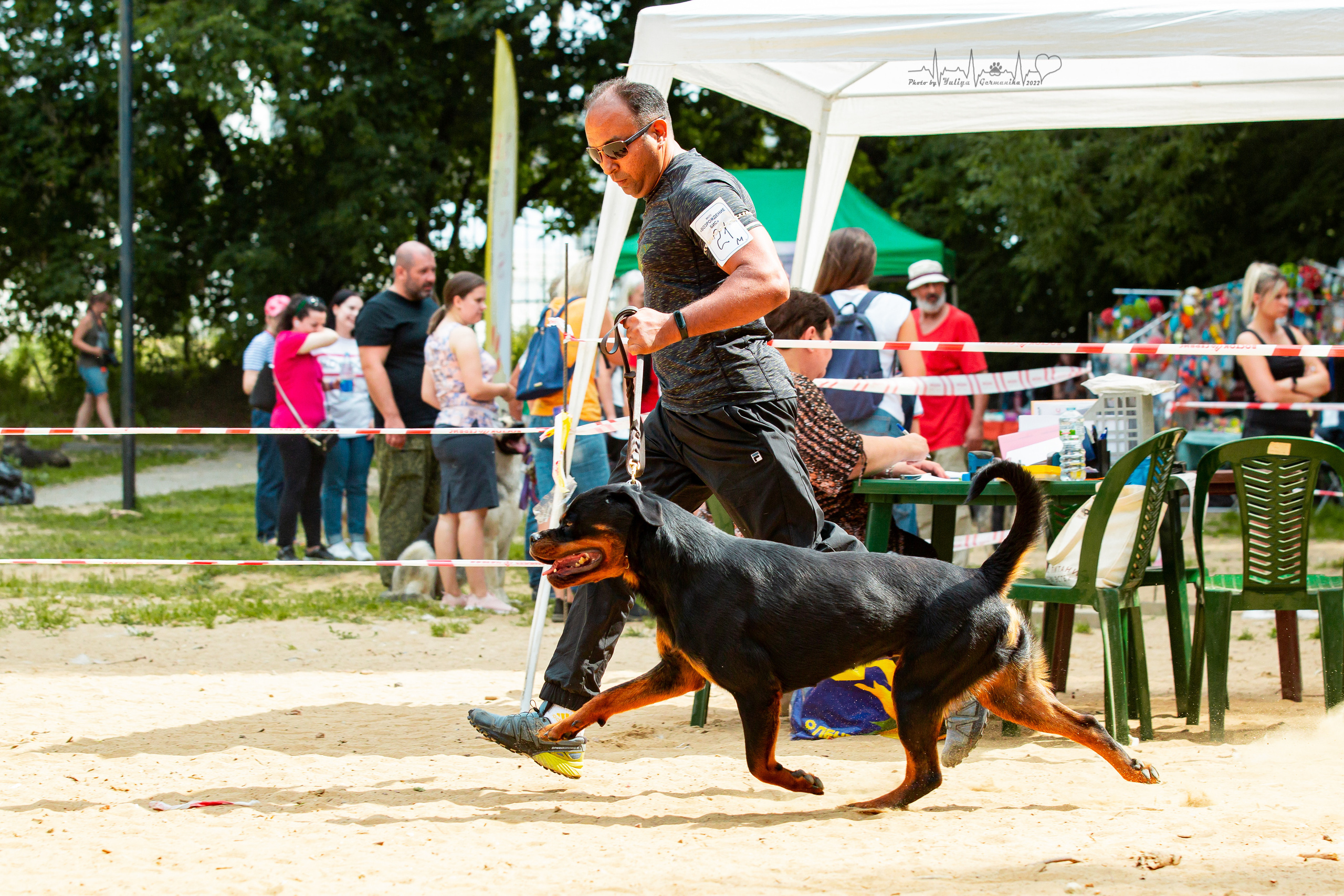 Ховрино фестиваль монопородок 14.08.2022. Фотограф-анималист Юлия Германика