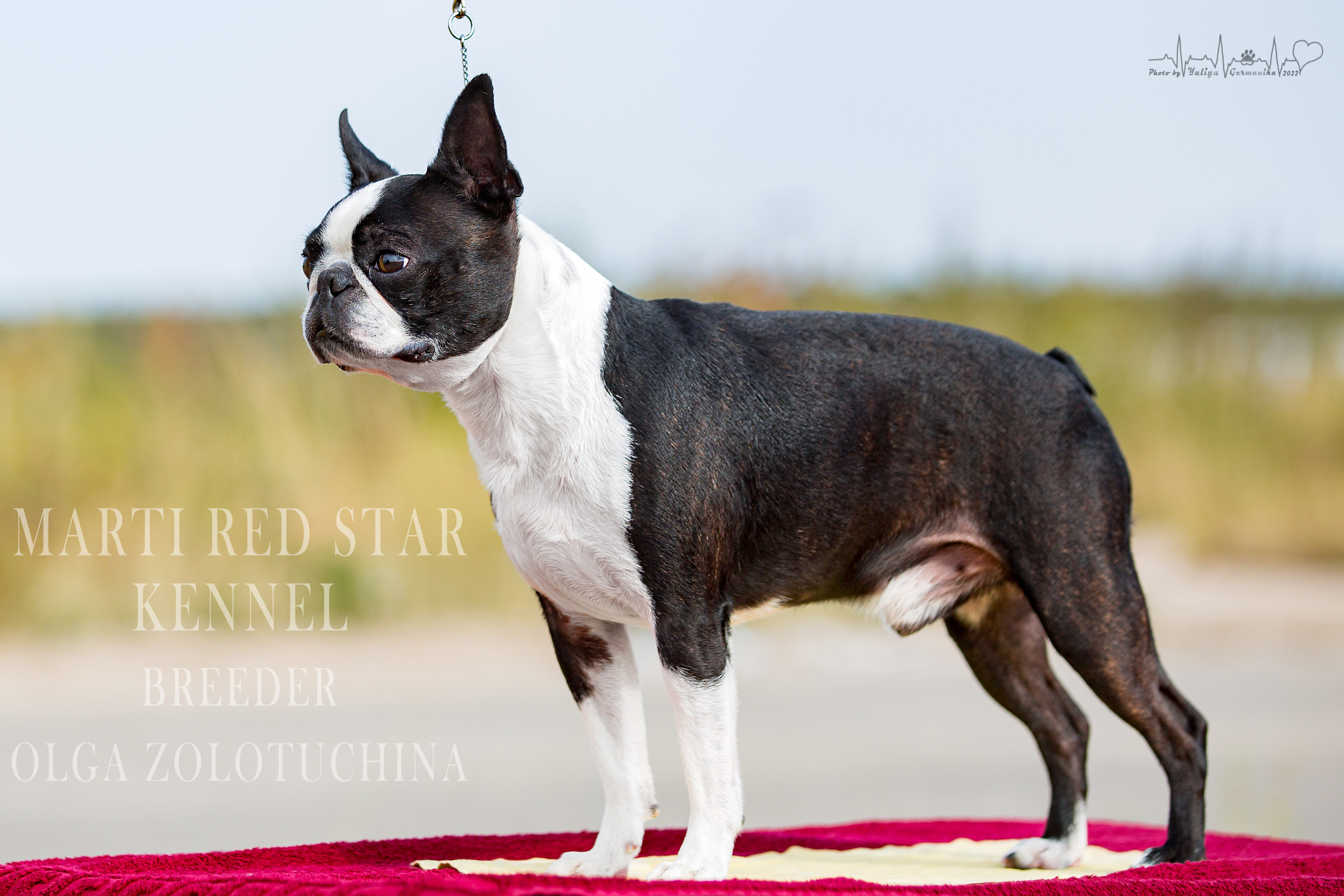 Сокольники 21.08,Сергиев Посад 27-28.08 2022. Фотограф-анималист Юлия Германика