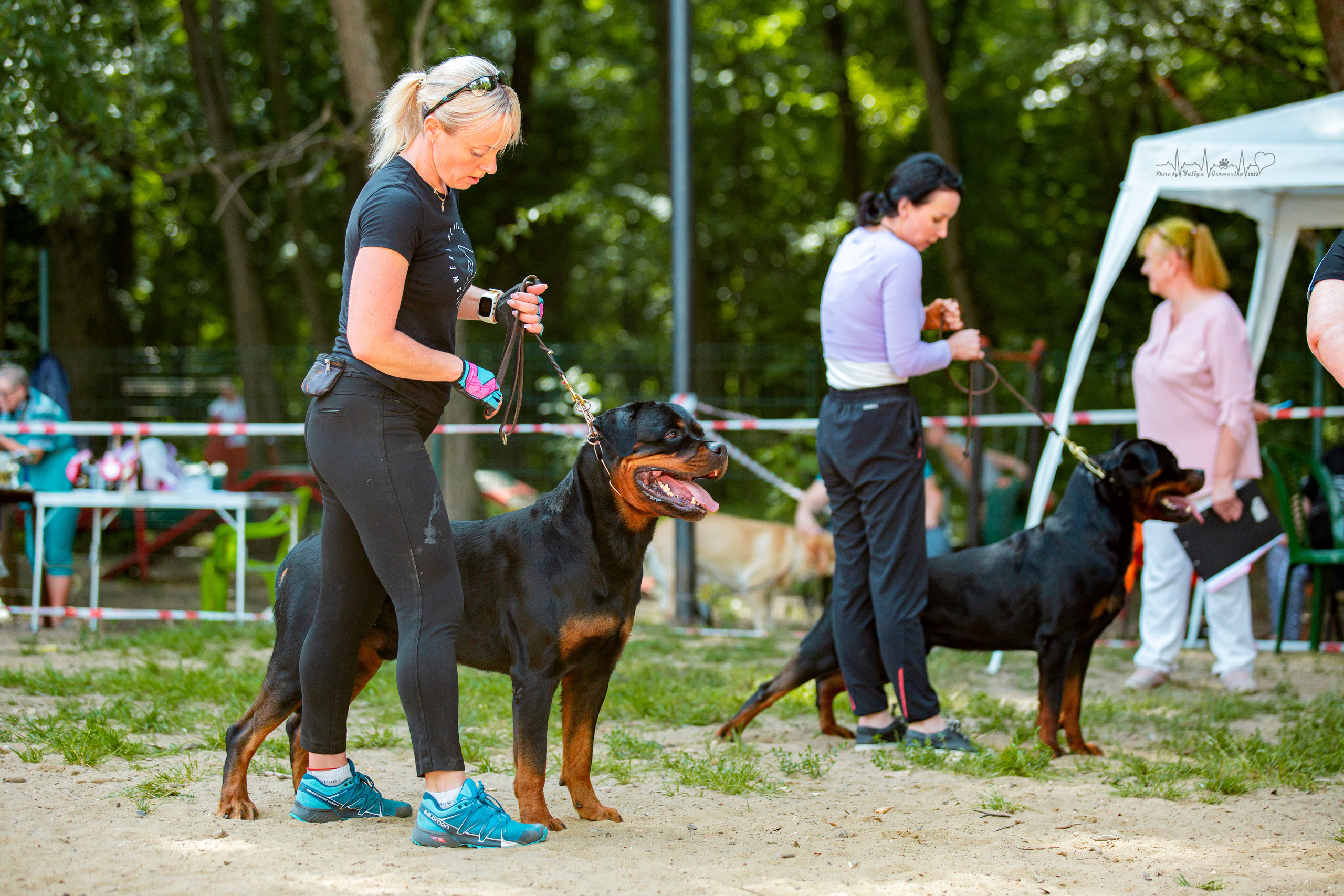 Ховрино фестиваль монопородок 14.08.2022. Фотограф-анималист Юлия Германика