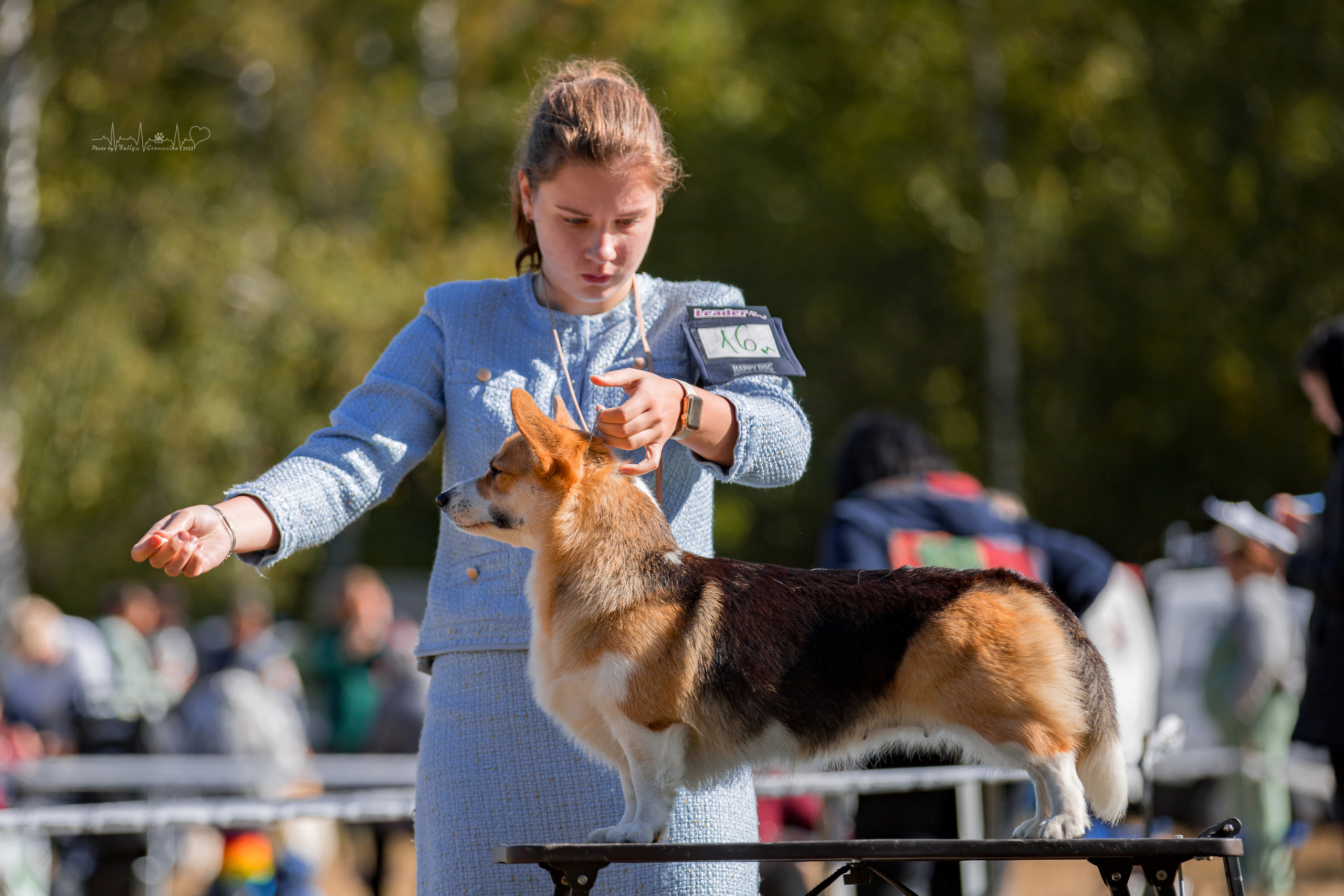 Пушкино ЧРКФ 17.09.2022. Фотограф-анималист Юлия Германика
