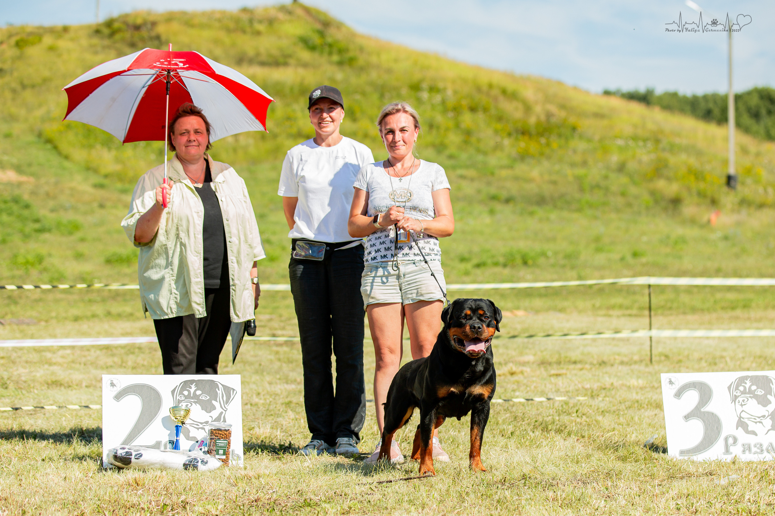 Рязань моно ротвейлеров 13.08.2022. Фотограф-анималист Юлия Германика