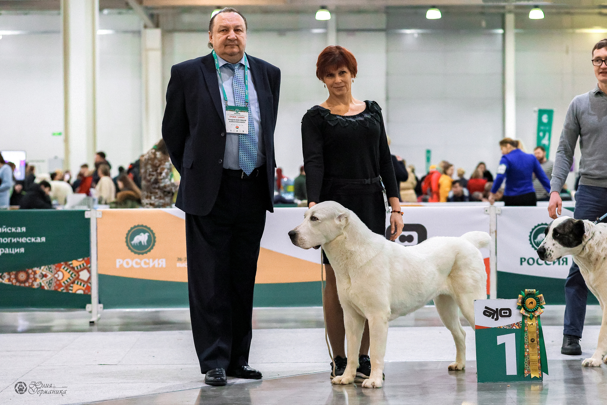 Россия 2020-2022 26-27.11.2022. Фотограф-анималист Юлия Германика