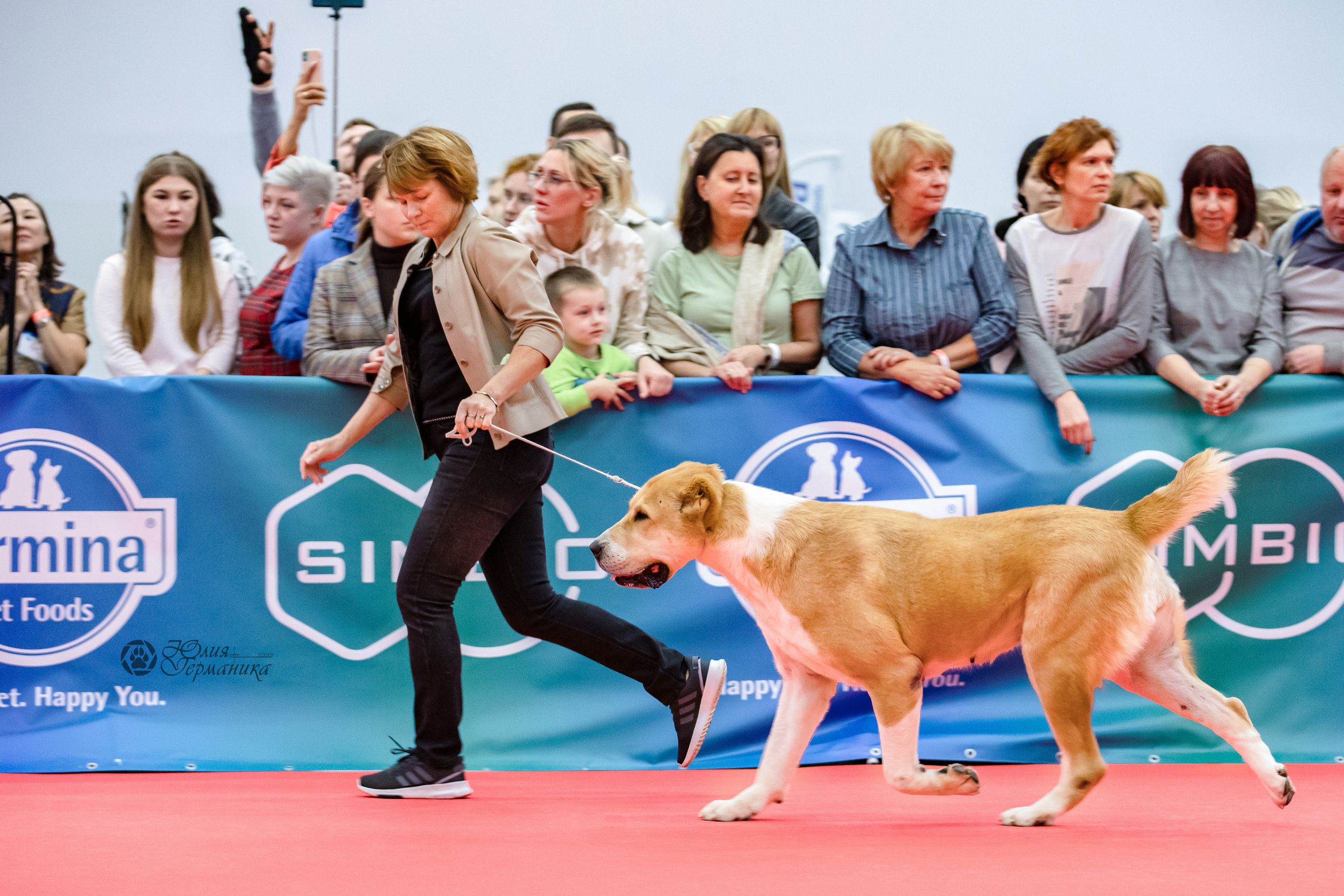 Нижний Новгород 15-16.10.2022. Фотограф-анималист Юлия Германика