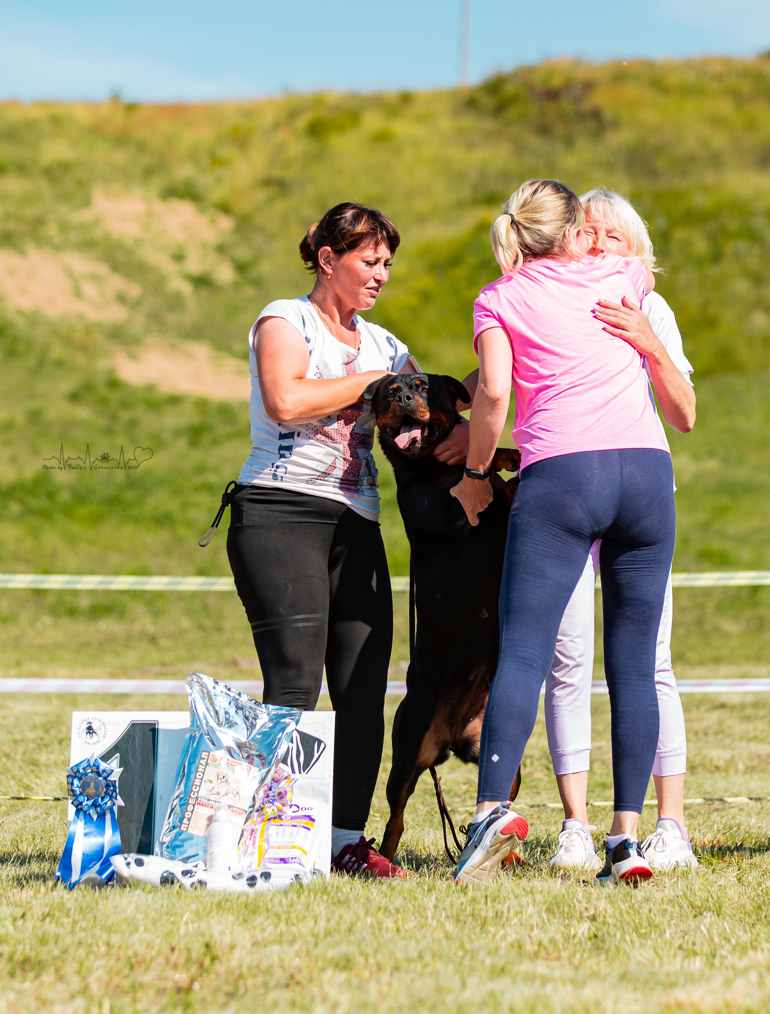 Рязань моно ротвейлеров 13.08.2022. Фотограф-анималист Юлия Германика