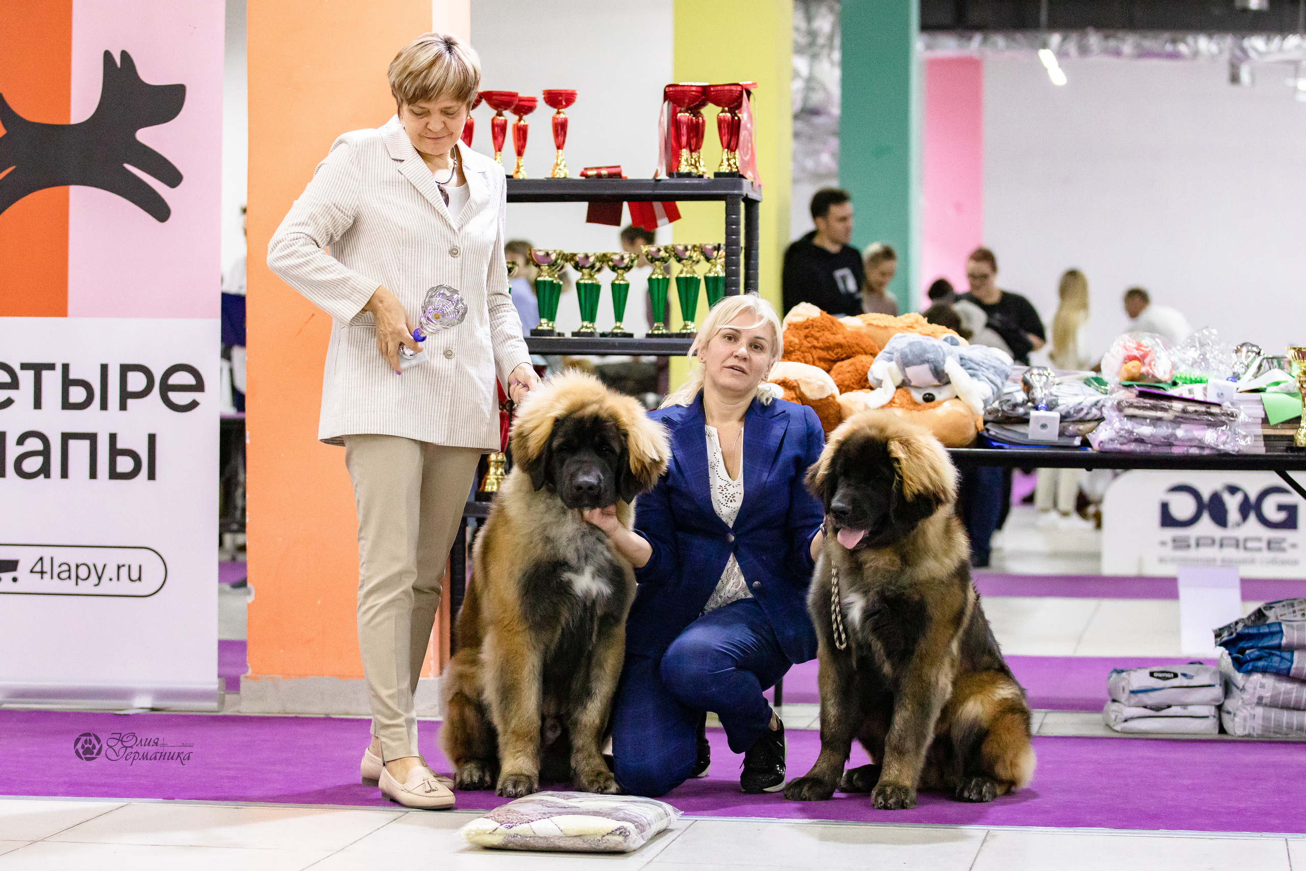 Чайна-Таун 29-30.10.2022. Фотограф-анималист Юлия Германика