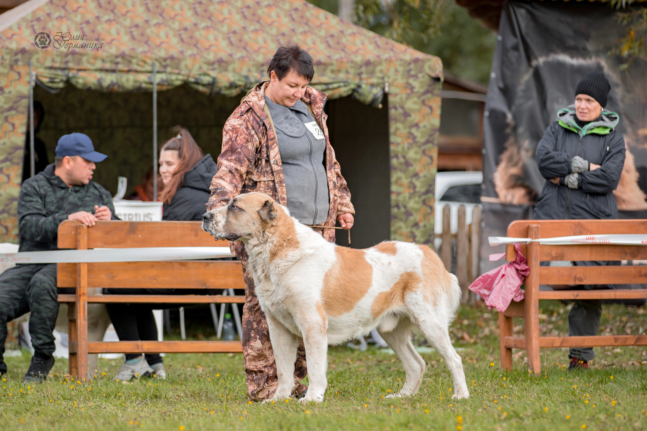 Александрова Слобода моно сао 2.10.2022. Фотограф-анималист Юлия Германика