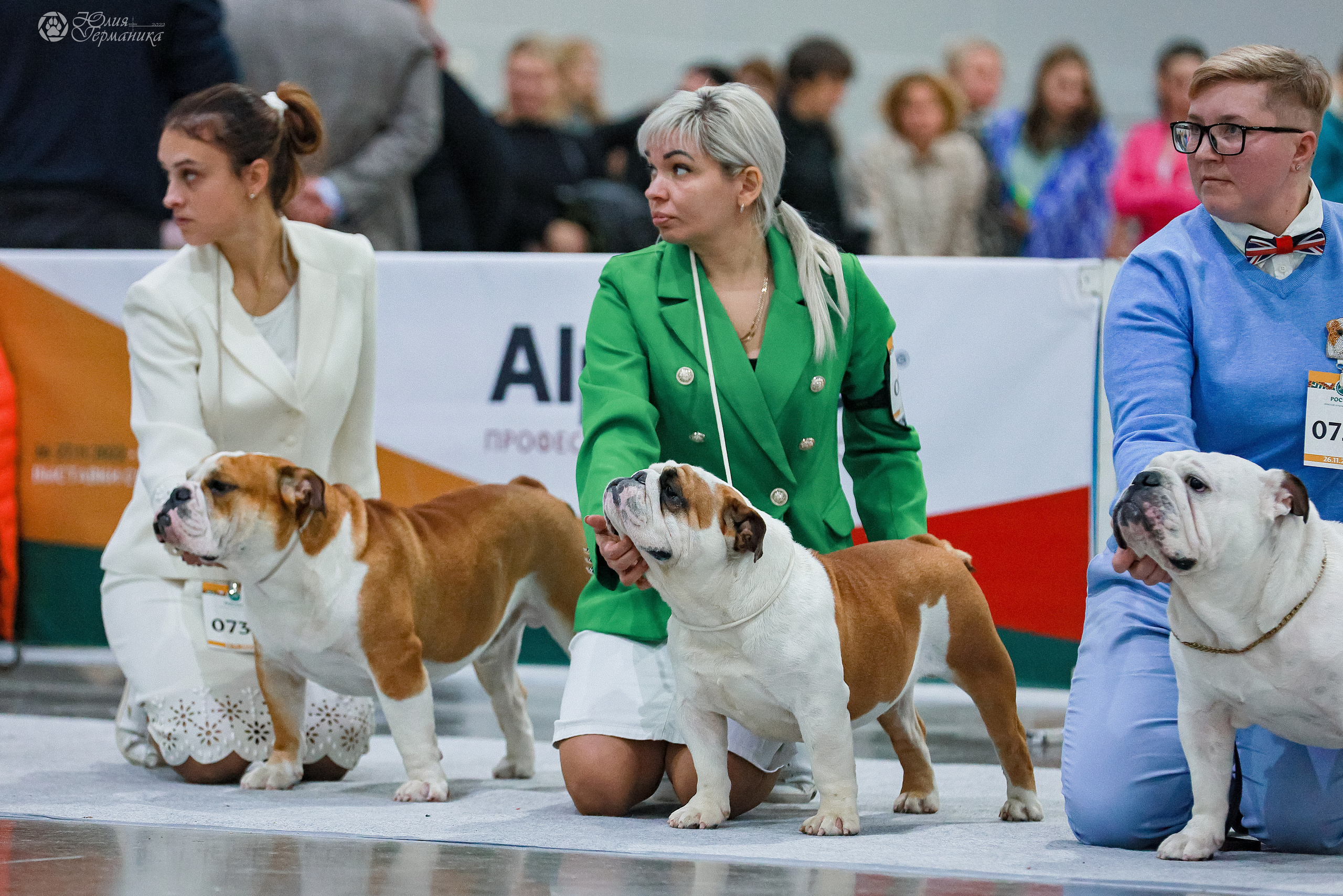 Россия 2020-2022 26-27.11.2022. Фотограф-анималист Юлия Германика