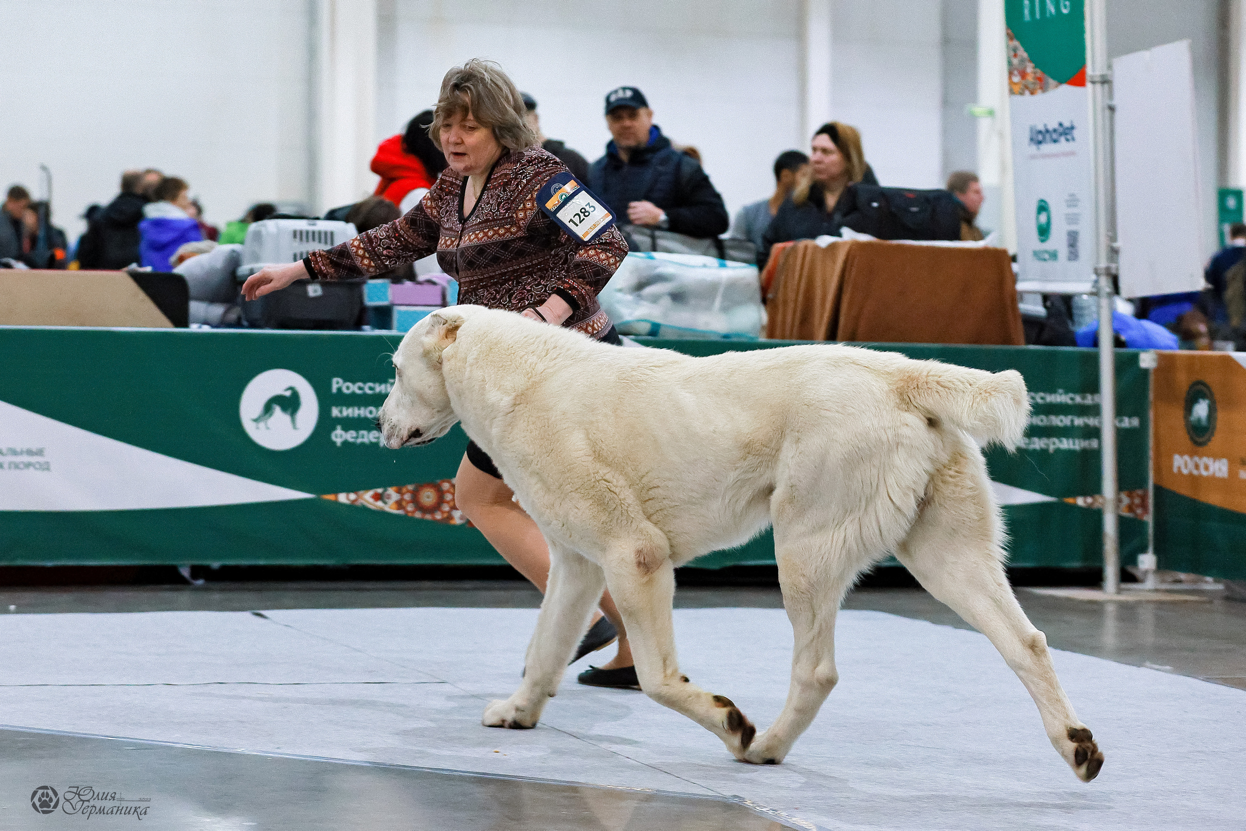 Россия 2020-2022 26-27.11.2022. Фотограф-анималист Юлия Германика