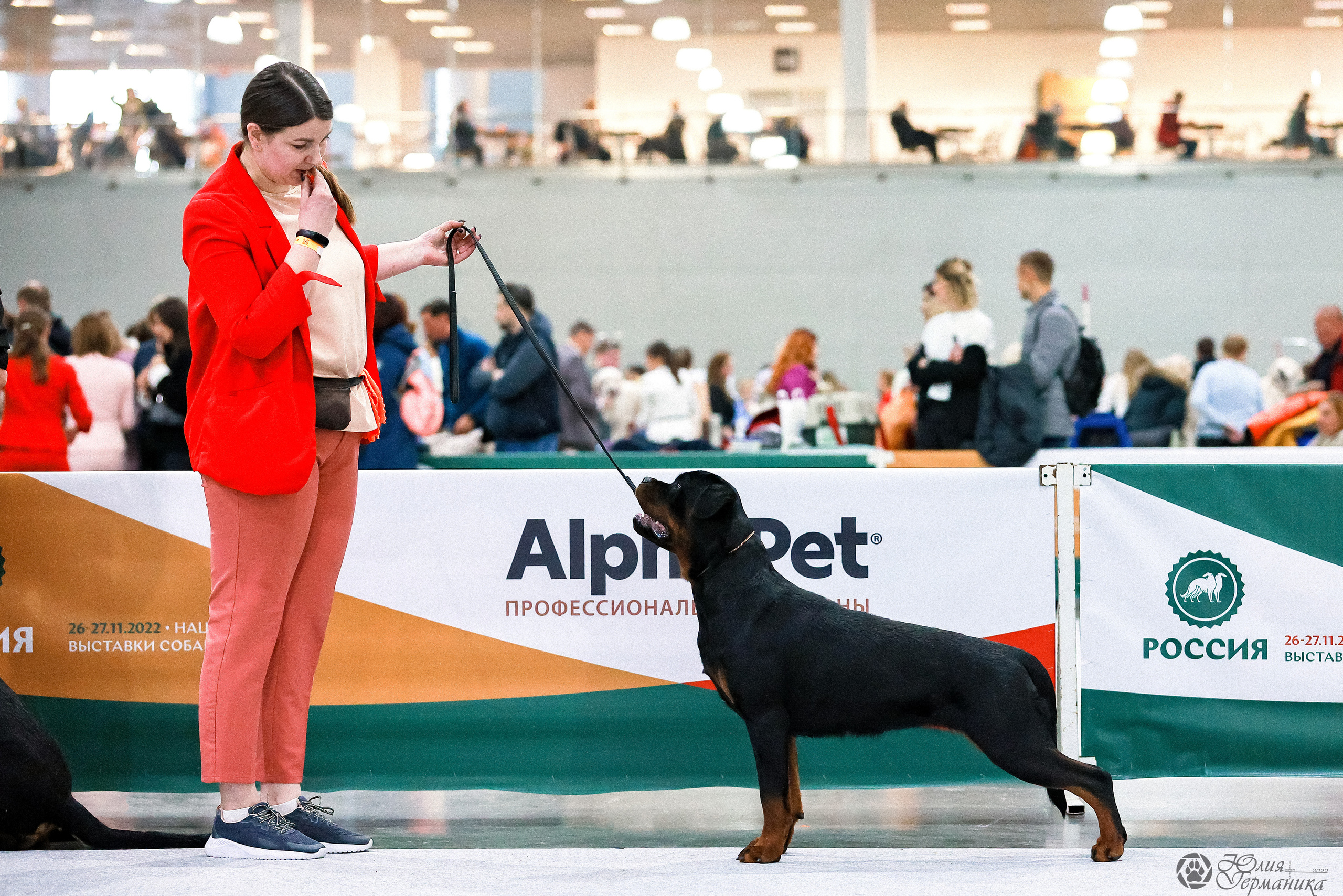 Россия 2020-2022 26-27.11.2022. Фотограф-анималист Юлия Германика