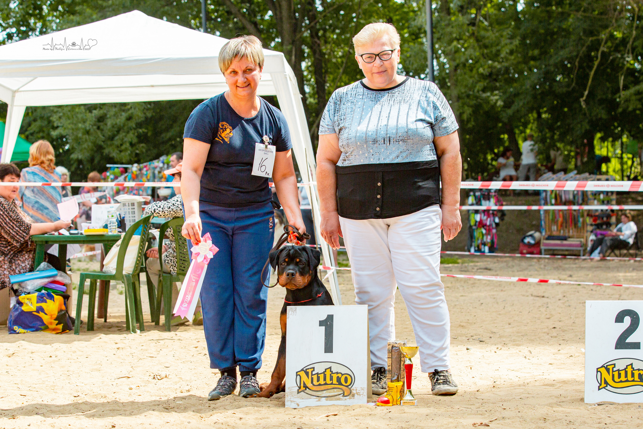 Ховрино фестиваль монопородок 14.08.2022. Фотограф-анималист Юлия Германика