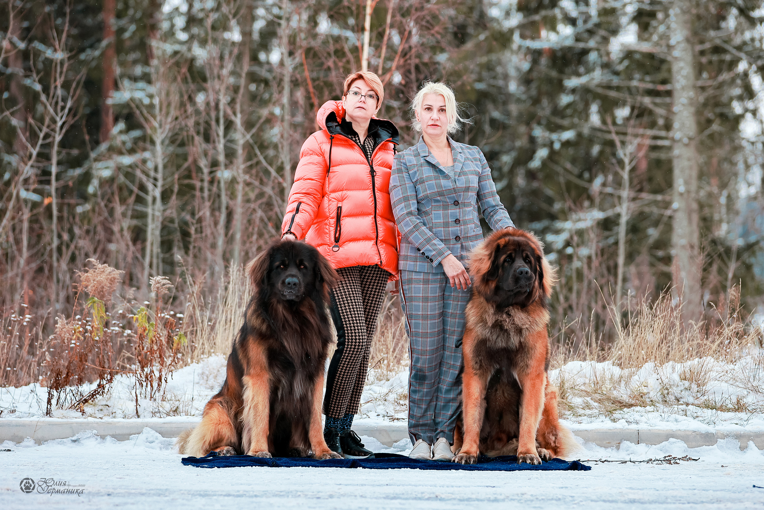 Минск 19-20.11.2022. Фотограф-анималист Юлия Германика