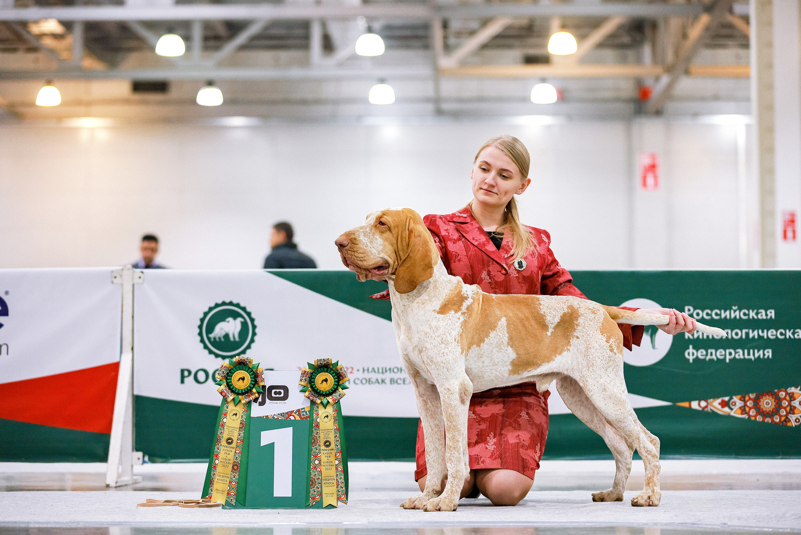 Россия 2020-2022 26-27.11.2022. Фотограф-анималист Юлия Германика