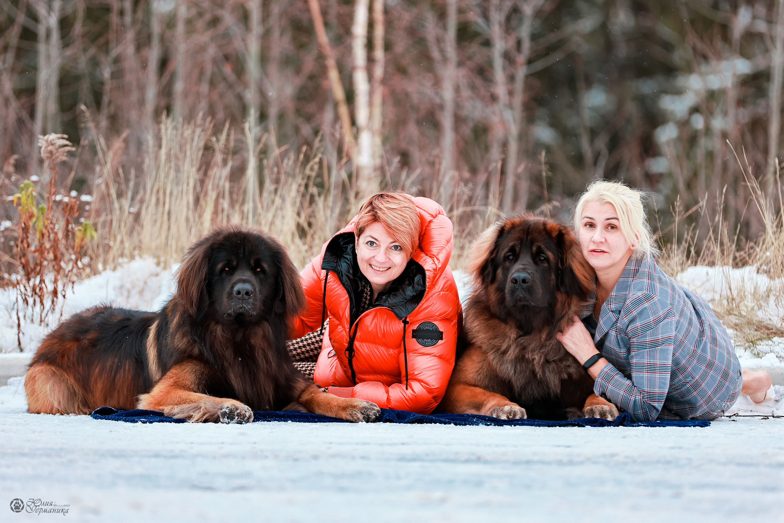 Минск 19-20.11.2022. Фотограф-анималист Юлия Германика