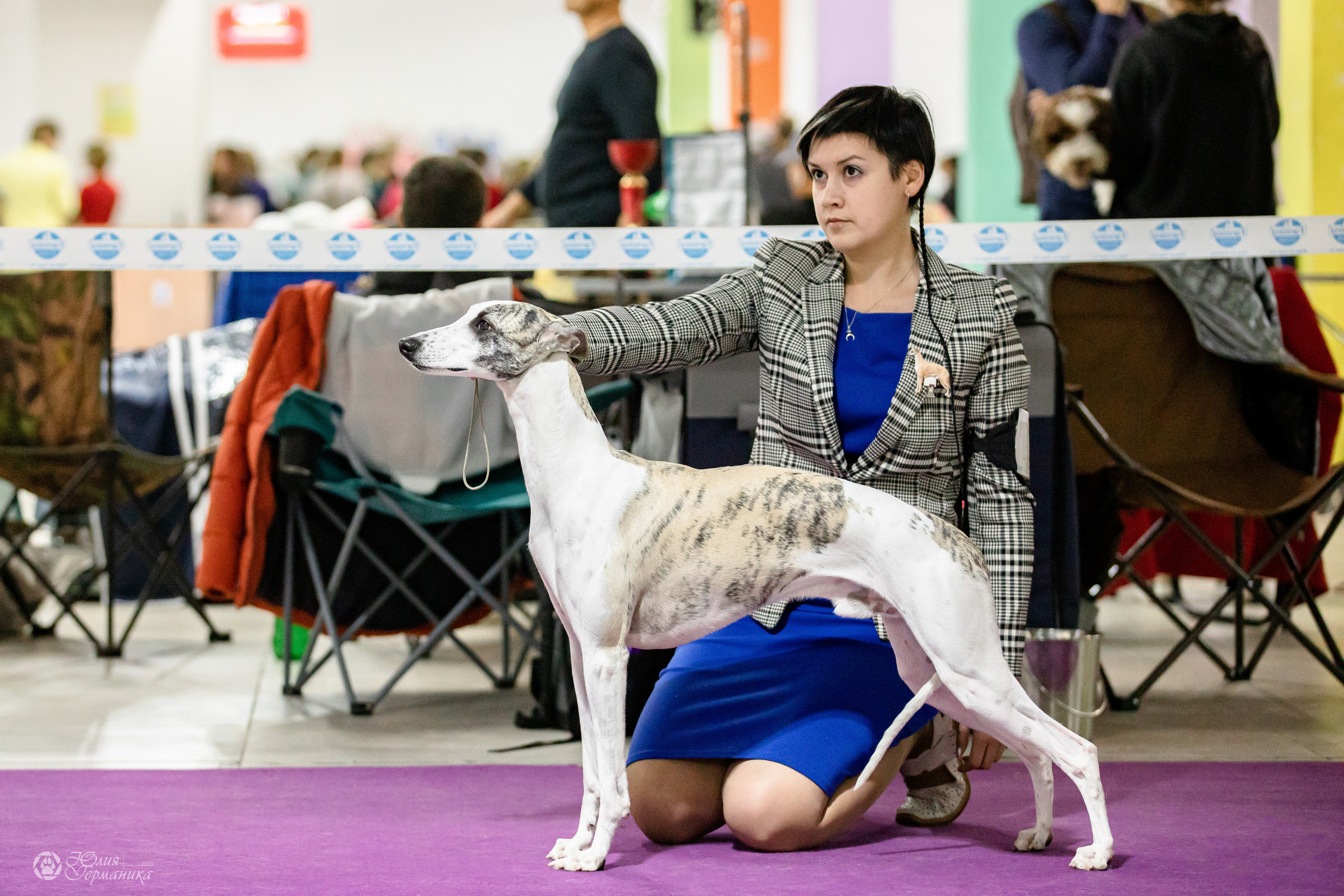 Чайна-Таун 29-30.10.2022. Фотограф-анималист Юлия Германика