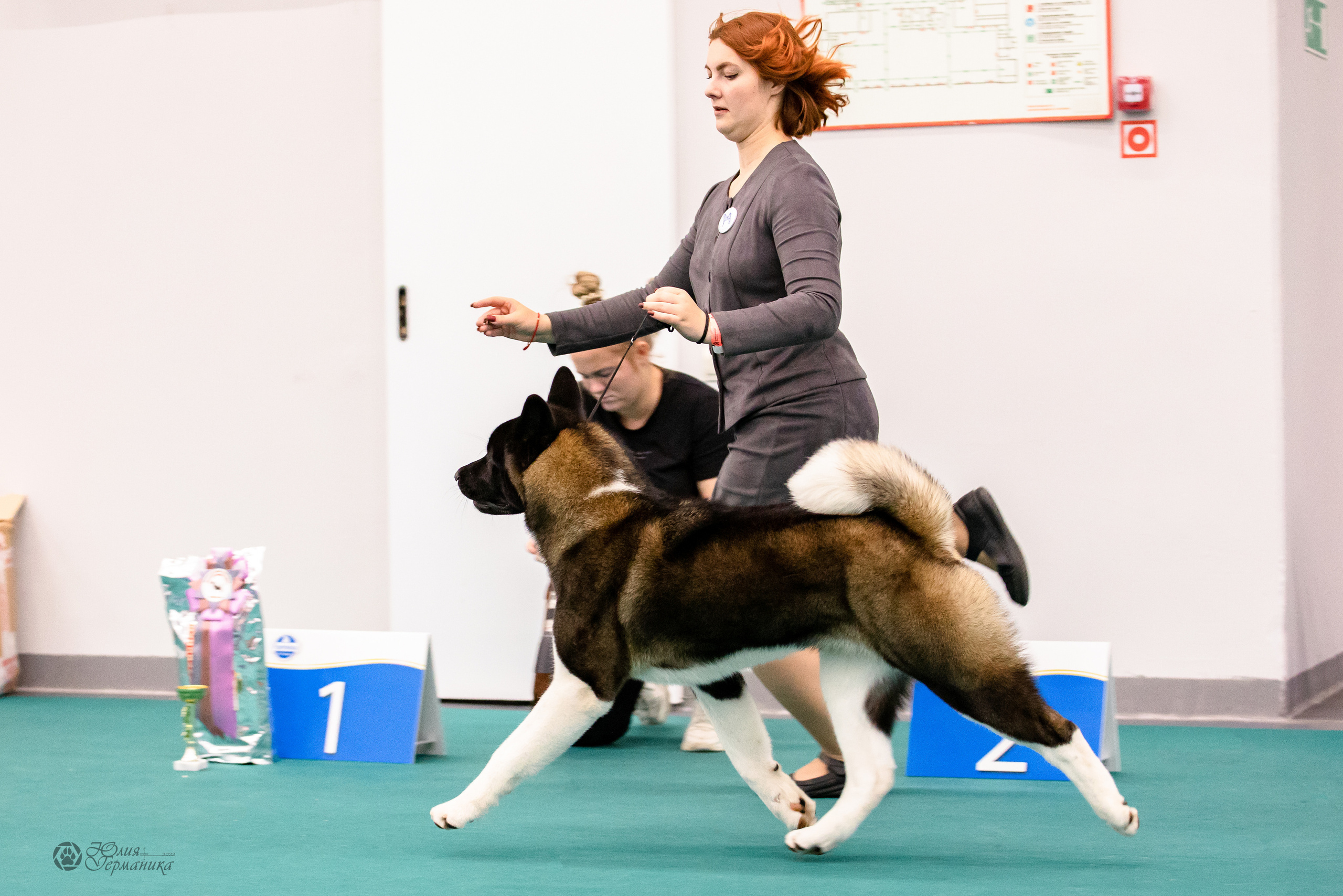 Нижний Новгород 15-16.10.2022. Фотограф-анималист Юлия Германика