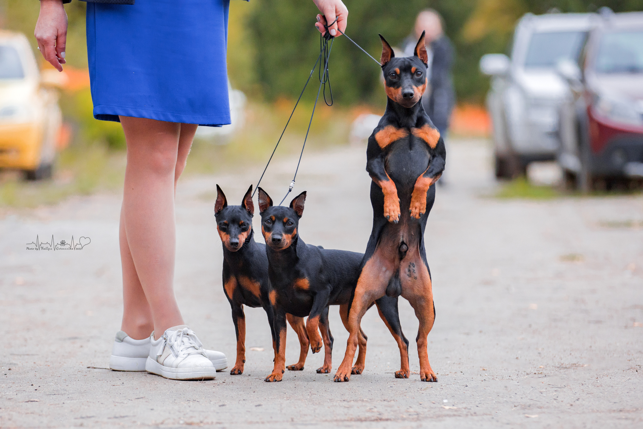 Тверь ЧРКФ 18.09.2022. Фотограф-анималист Юлия Германика